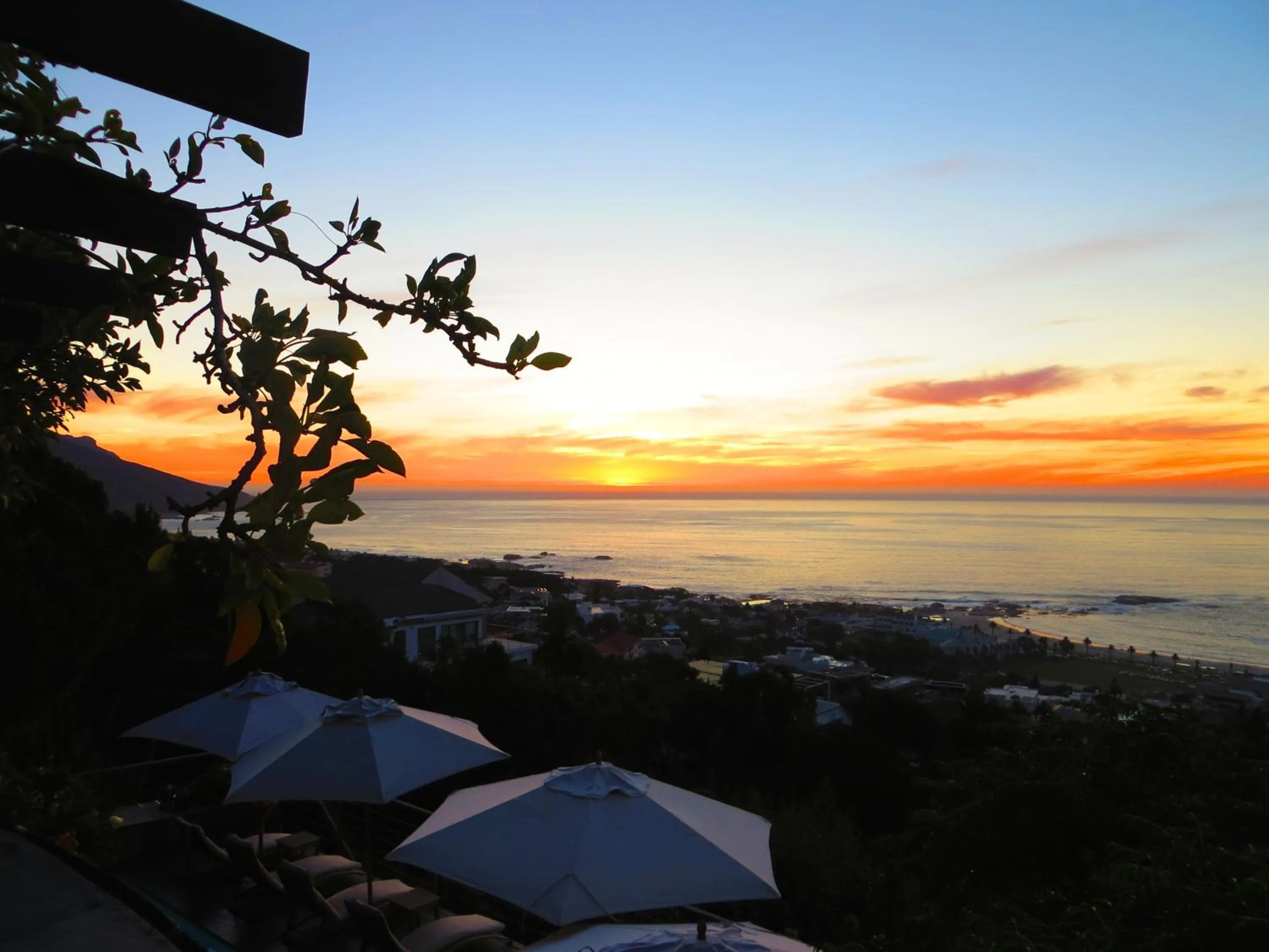 Garden in Boutique@10