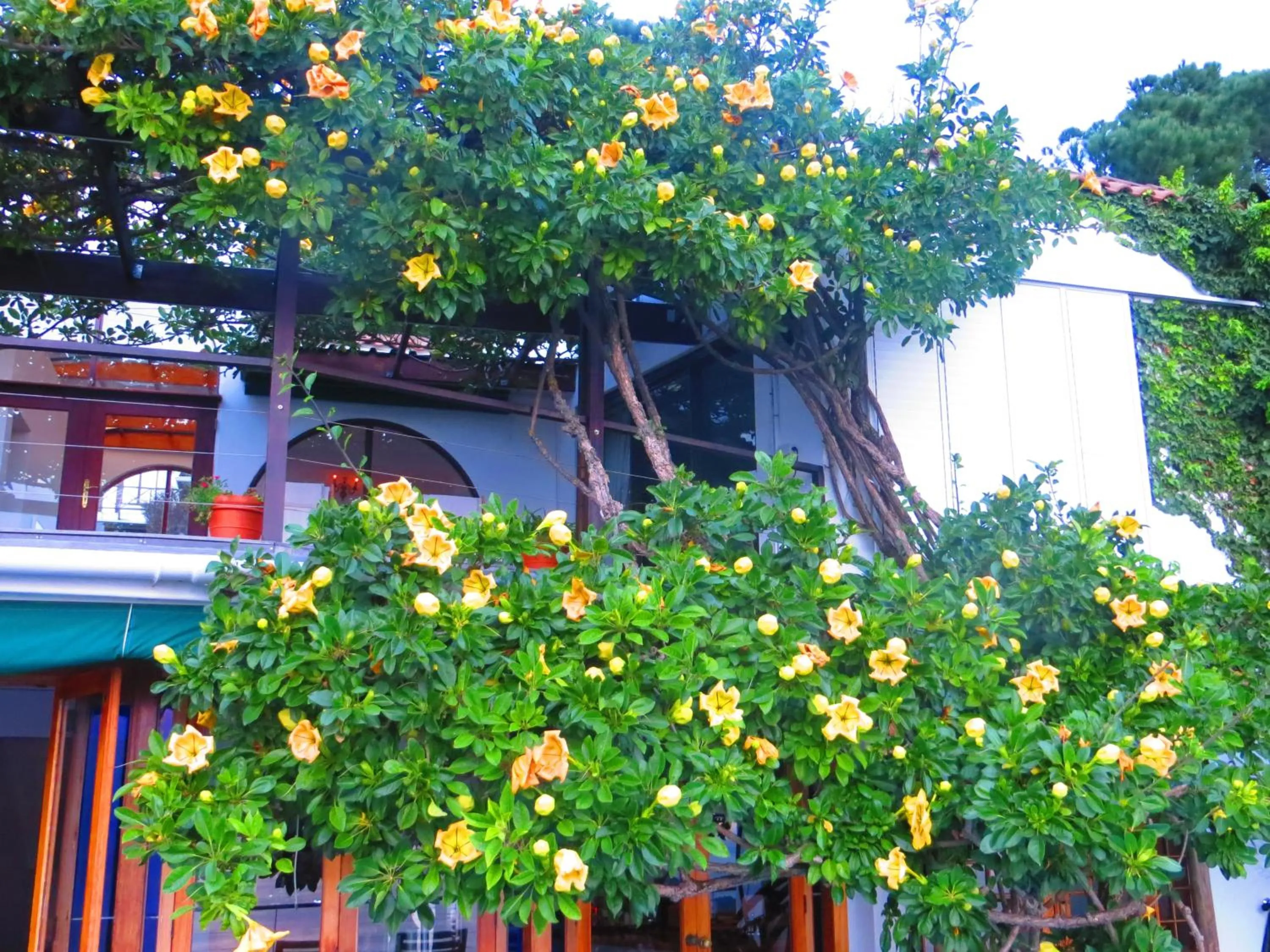 Patio in Boutique@10