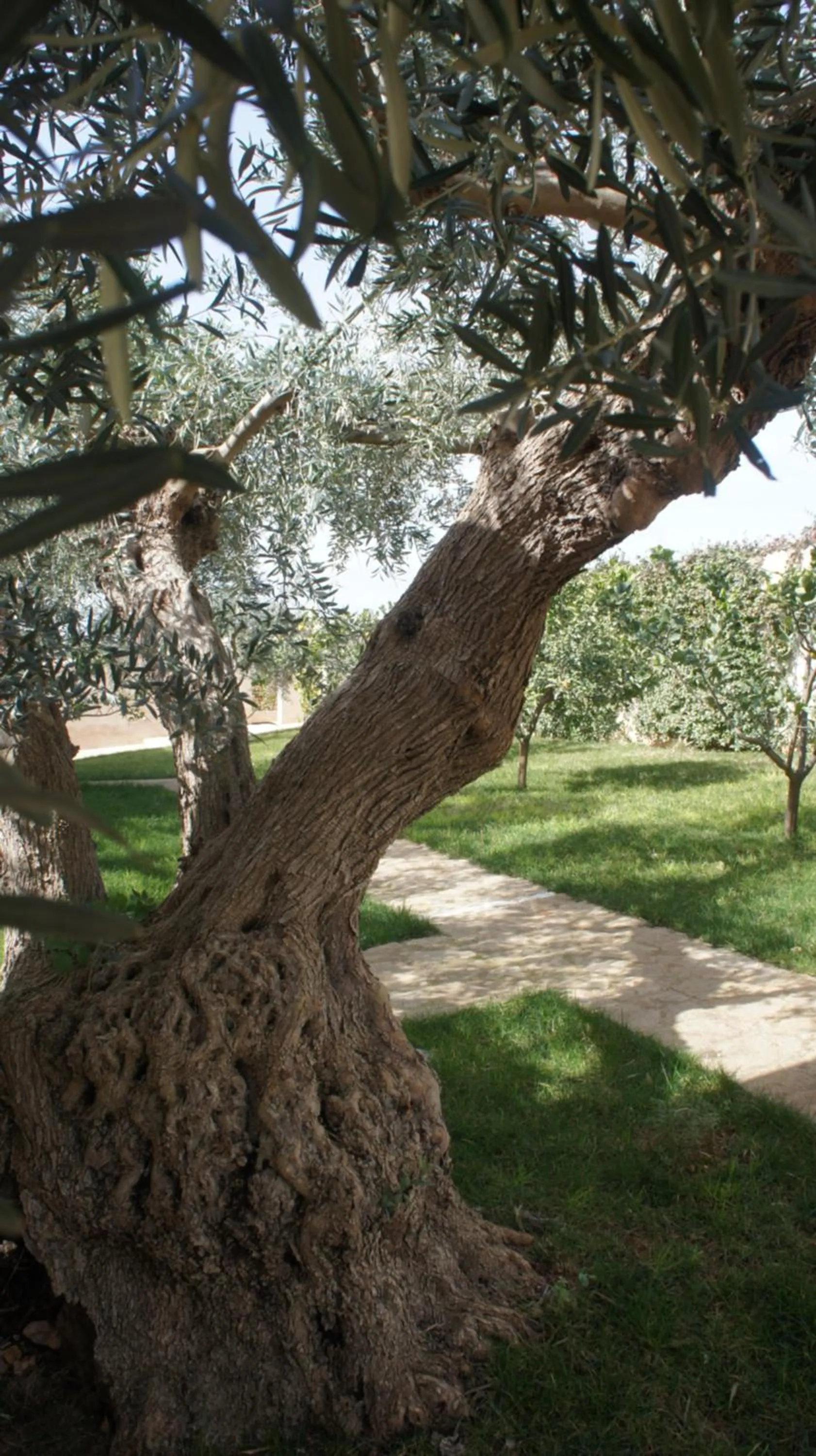 Patio in Relais Casina Miregia