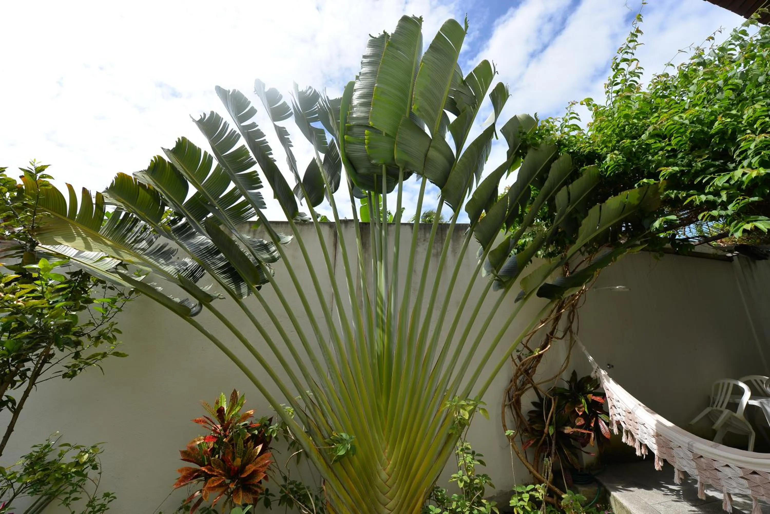 Garden in Pousada do Gunga