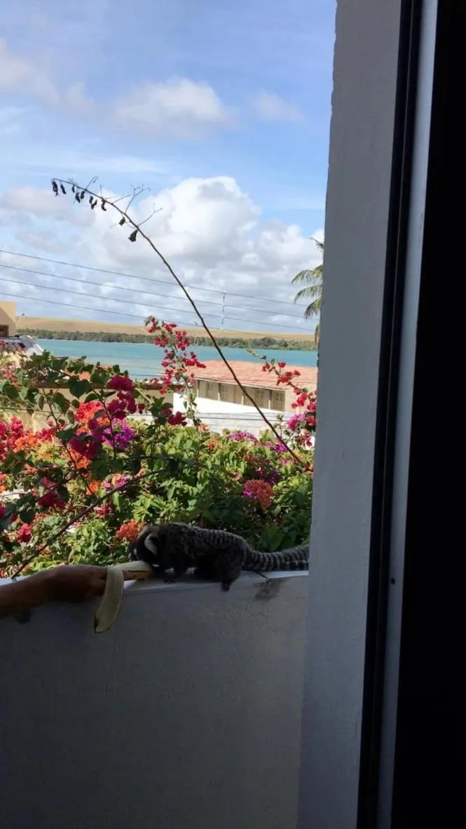 Lake view in Pousada do Gunga