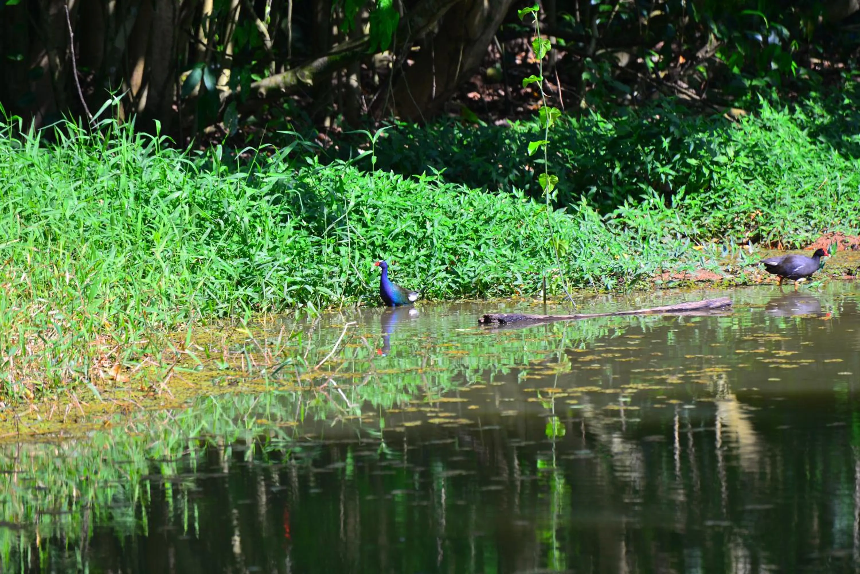 Hiking in Pousada do Gunga