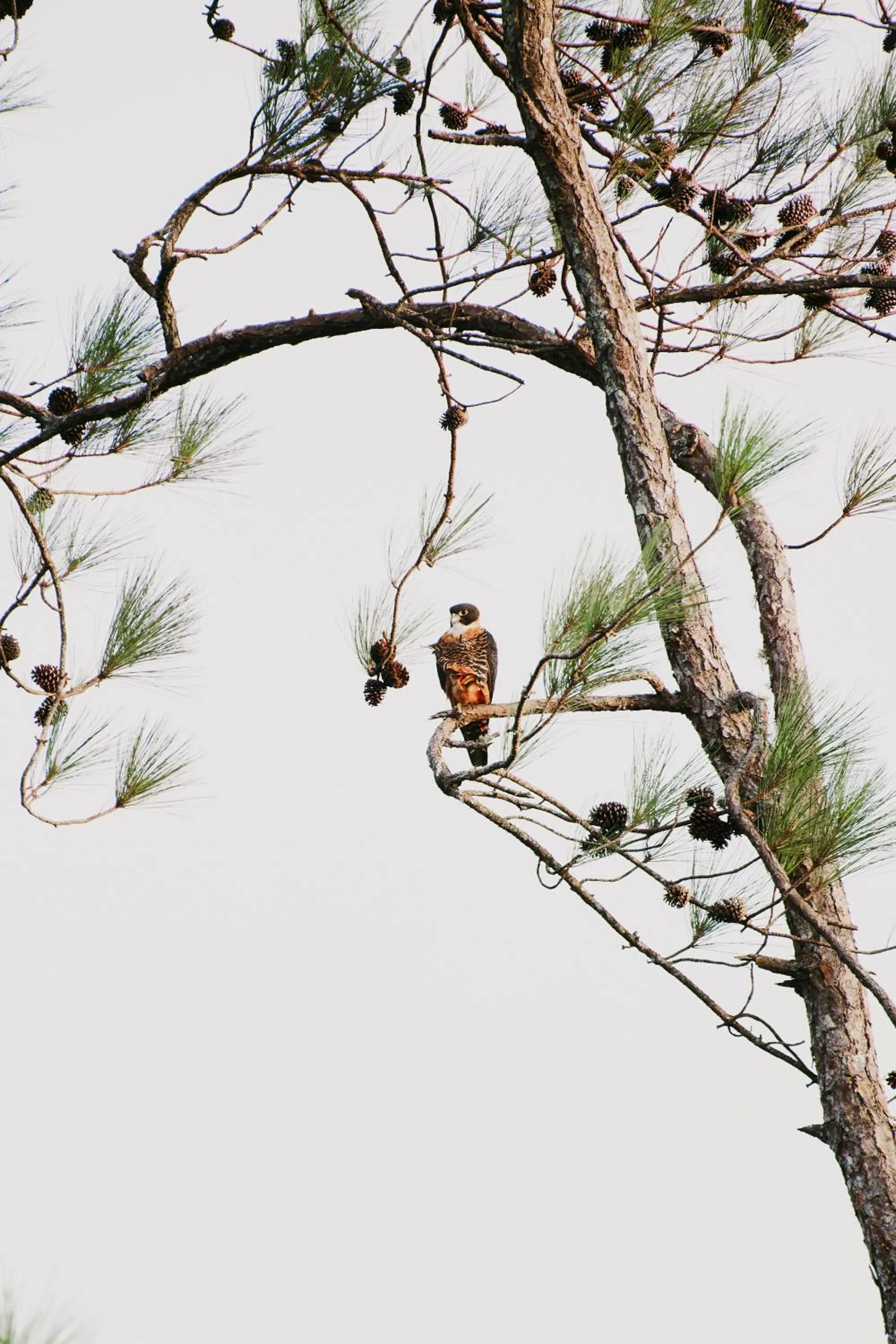 Day in Hidden Valley Wilderness Lodge