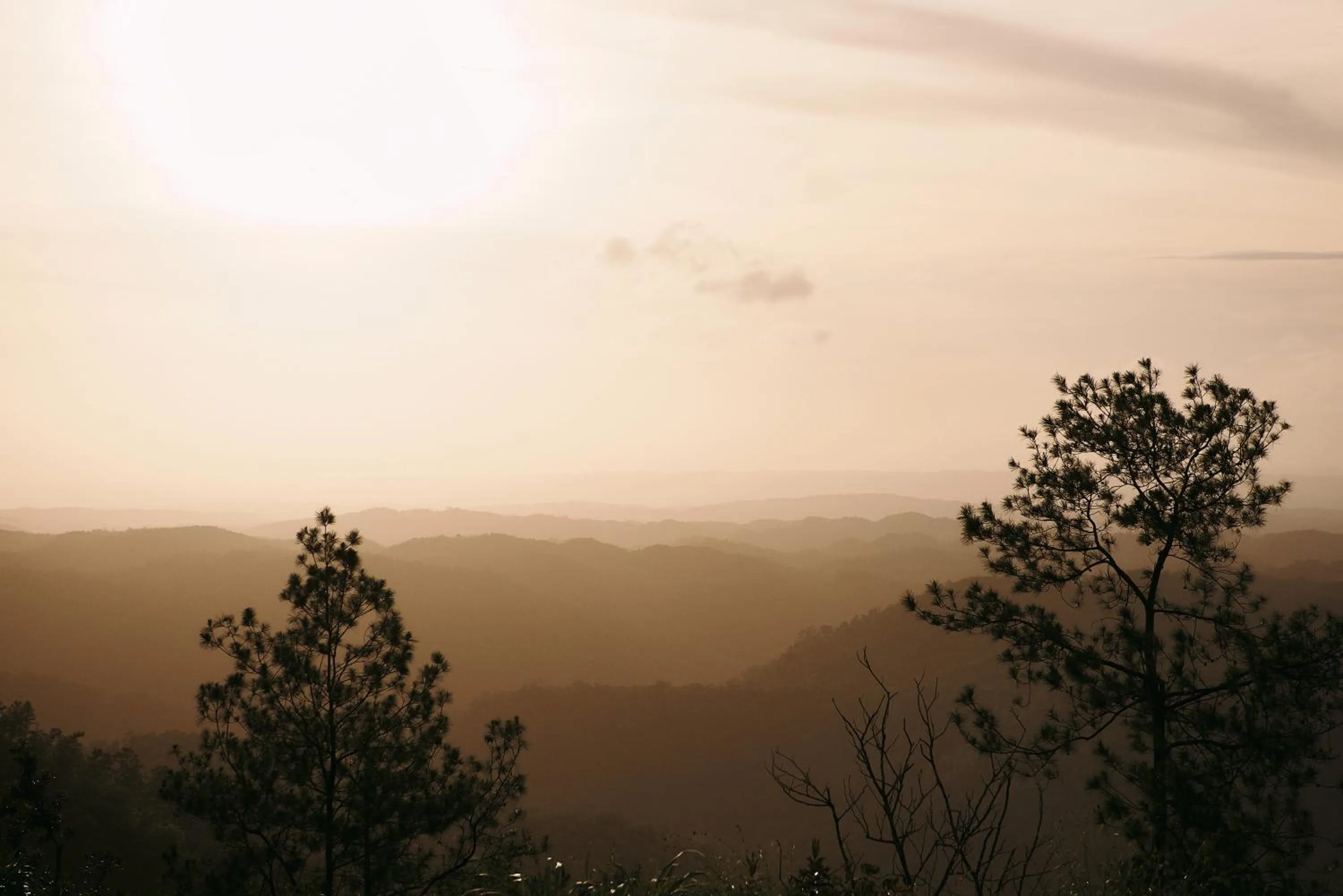 View (from property/room) in Hidden Valley Wilderness Lodge