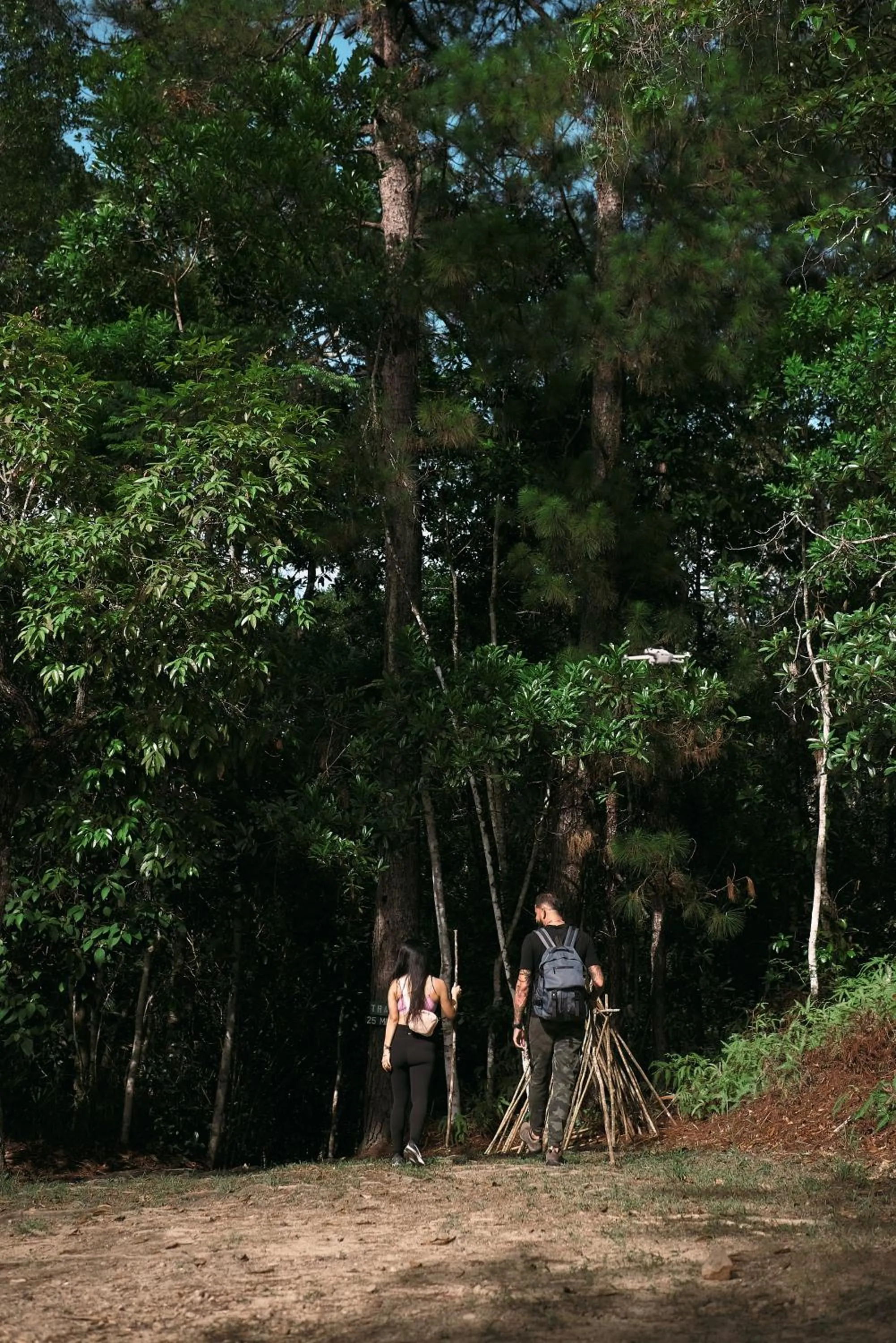 Spring in Hidden Valley Wilderness Lodge