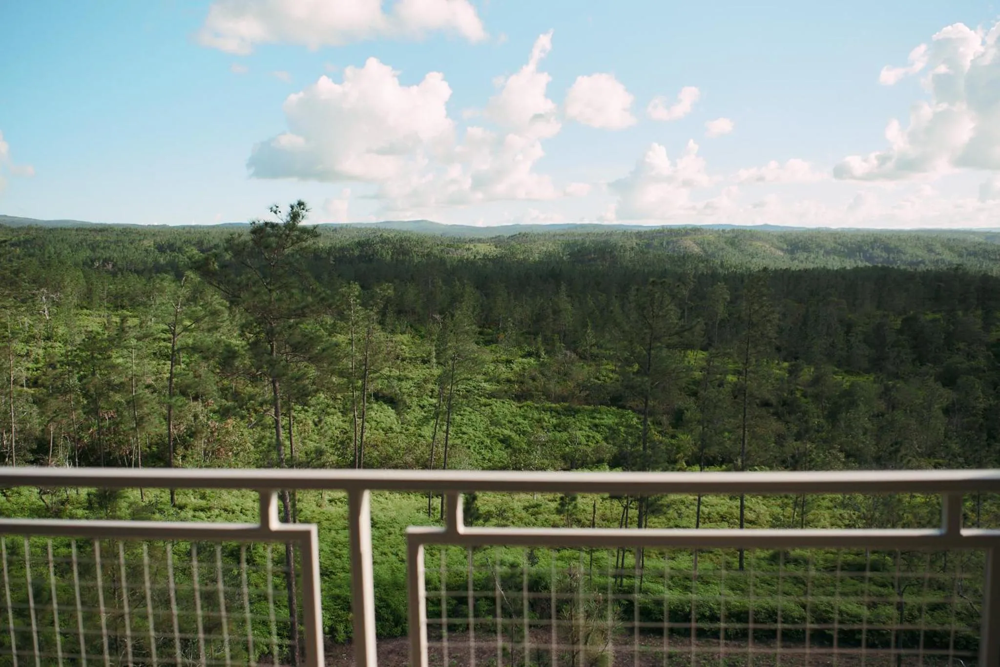 Day in Hidden Valley Wilderness Lodge
