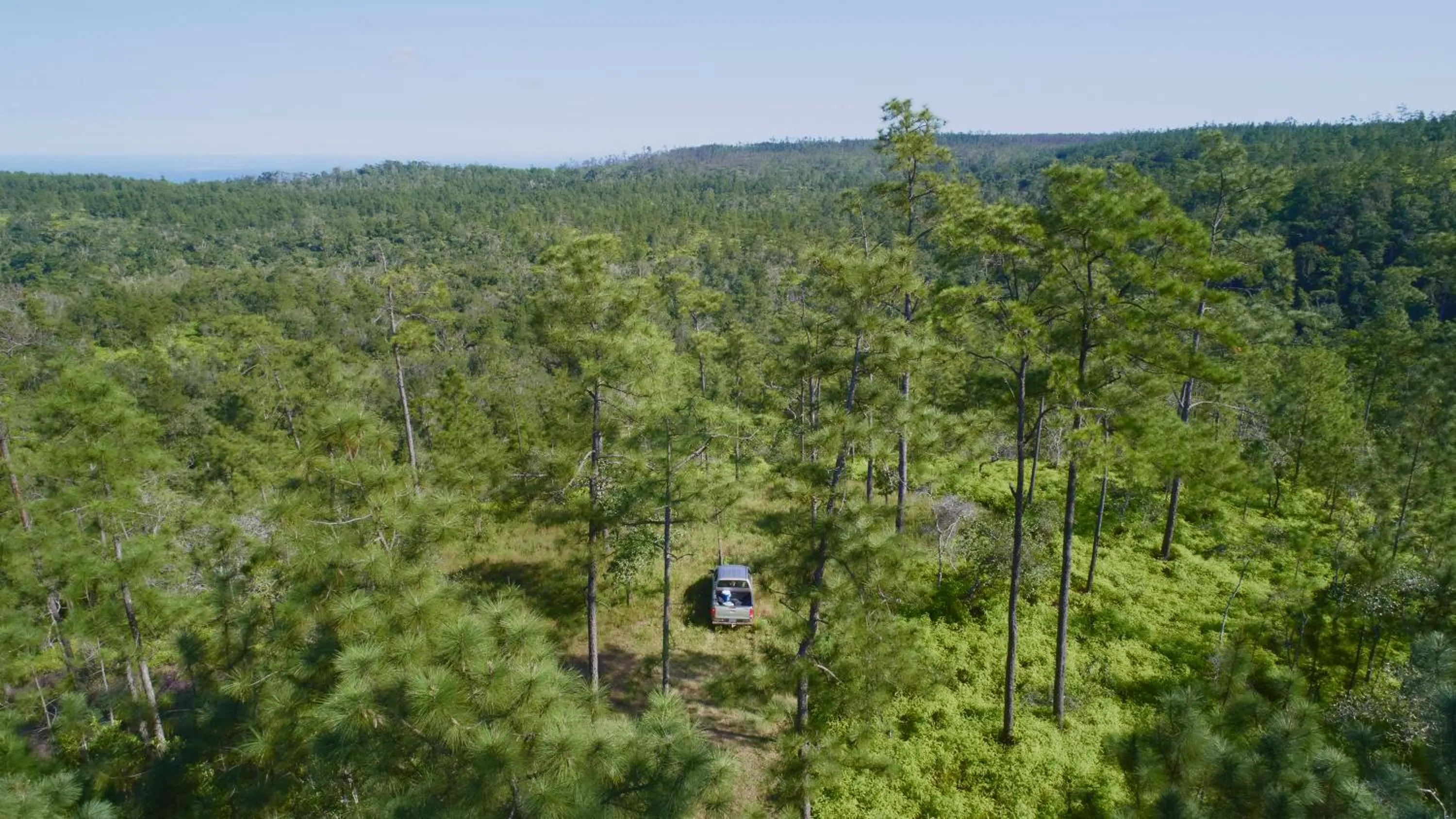 Natural landscape in Hidden Valley Wilderness Lodge