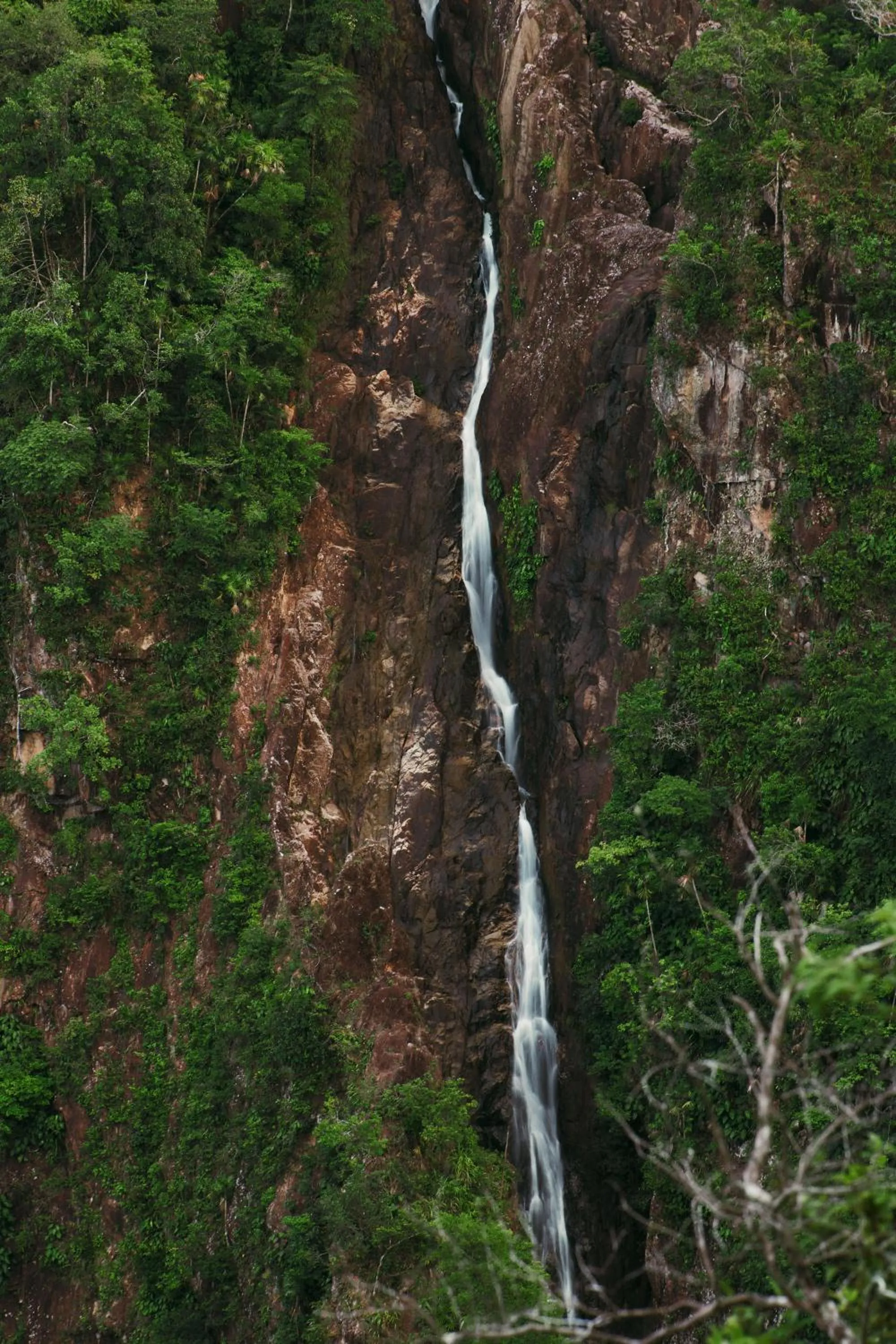 Mountain view in Hidden Valley Wilderness Lodge