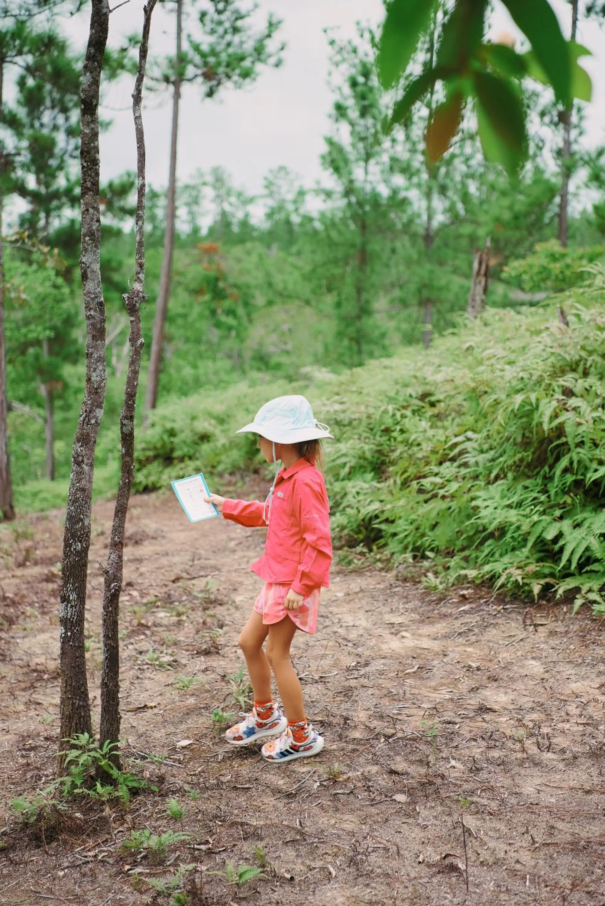Day in Hidden Valley Wilderness Lodge
