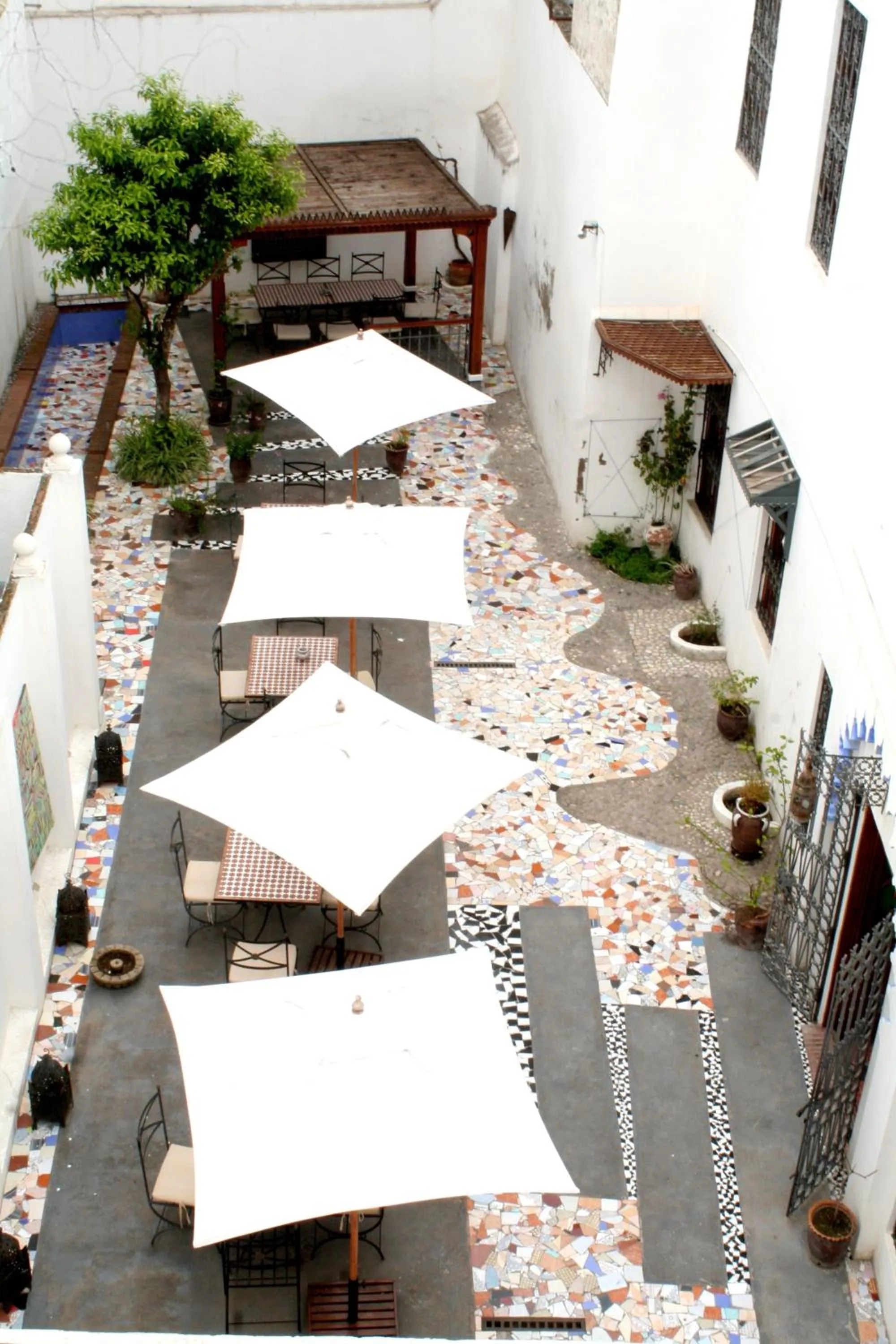 Garden in Hotel Blanco Riad