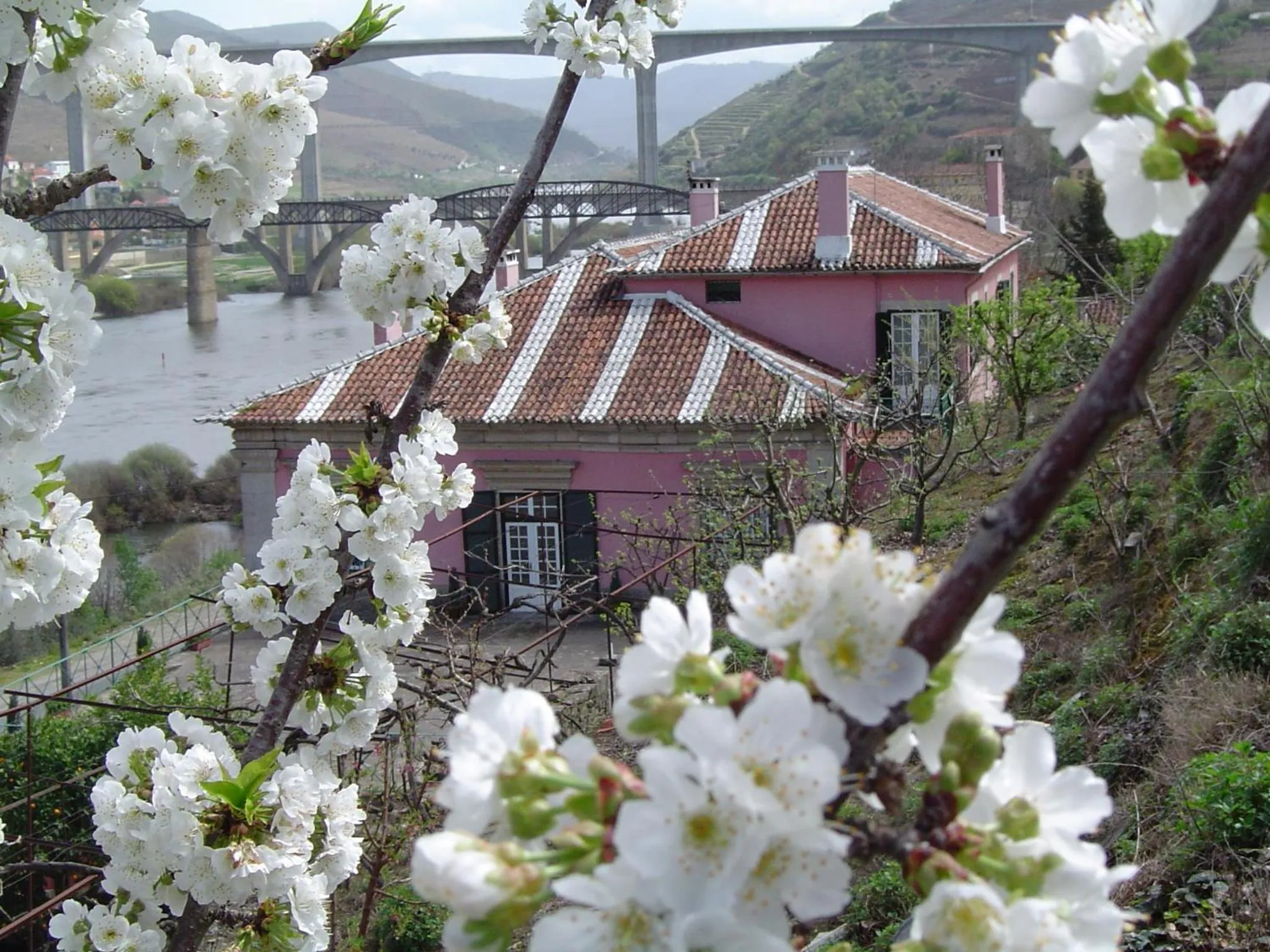 Spring in Casa Dos Varais, Manor House