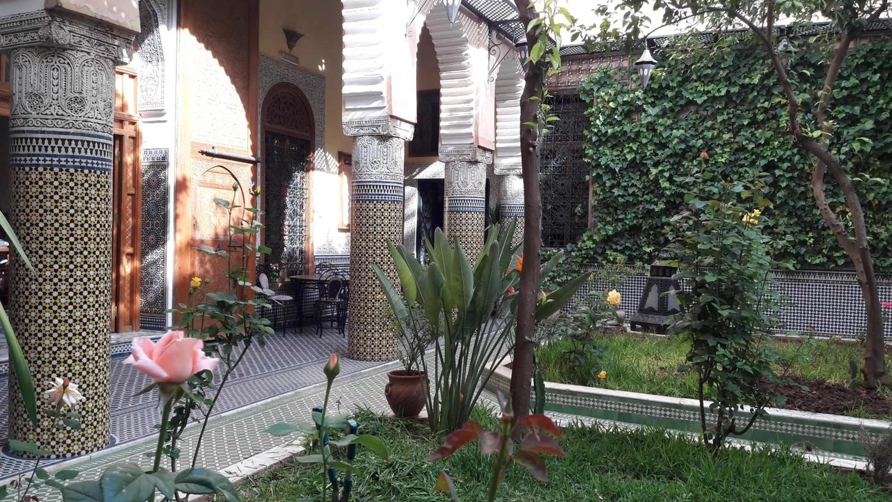 Garden in Riad Jaouhara