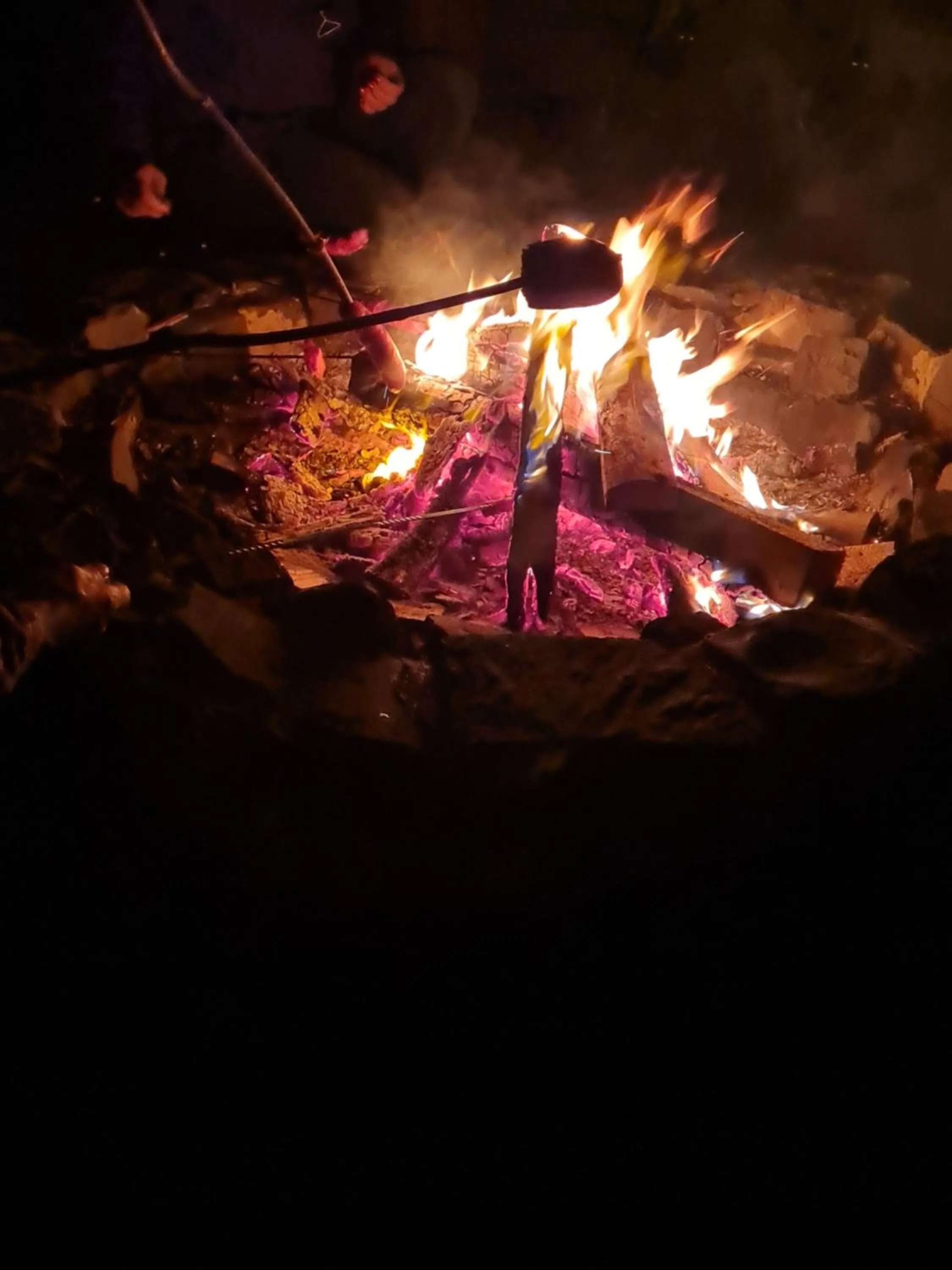 Garden in Welt Lodge