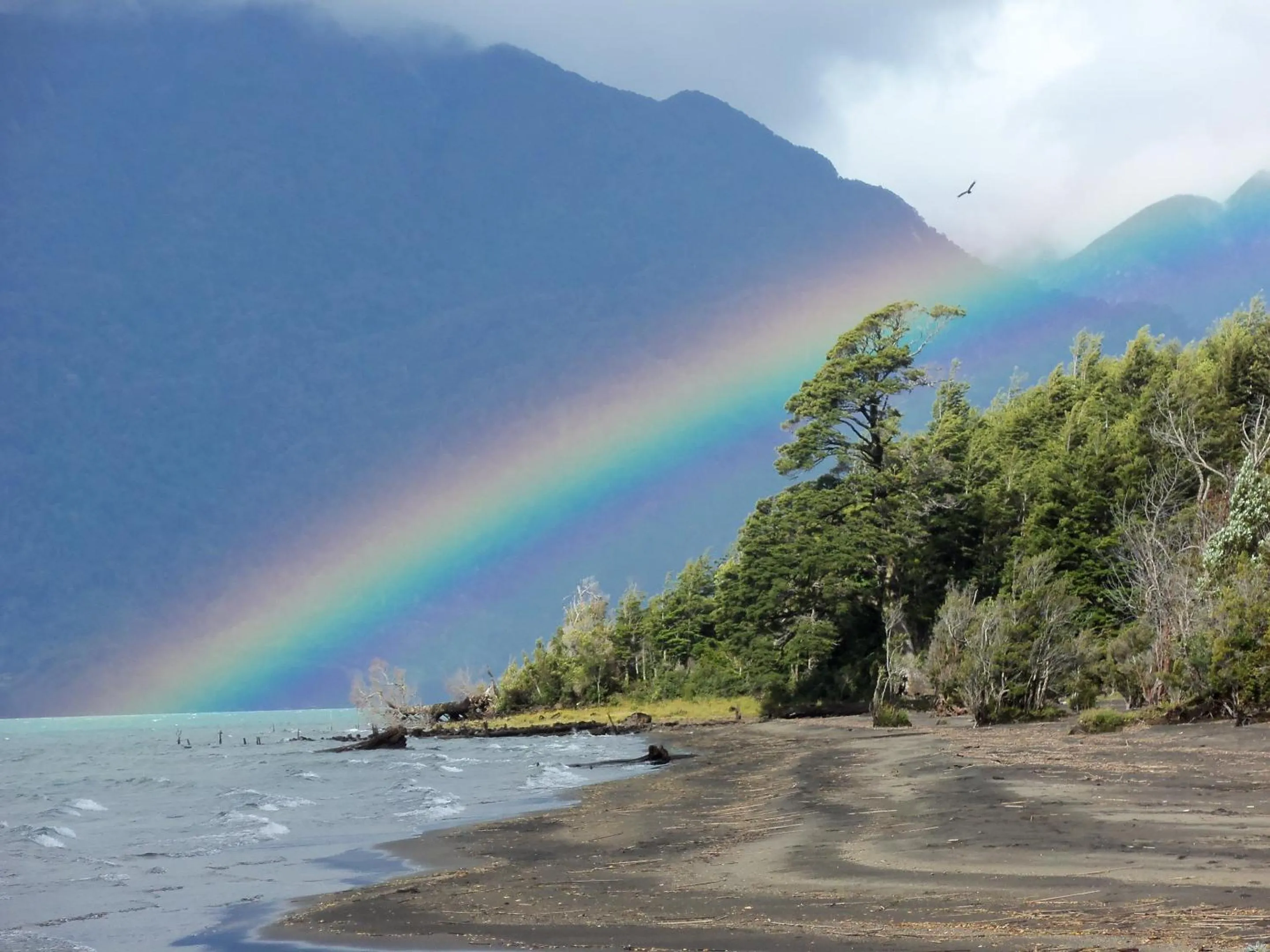 Beach in Yelcho en la Patagonia