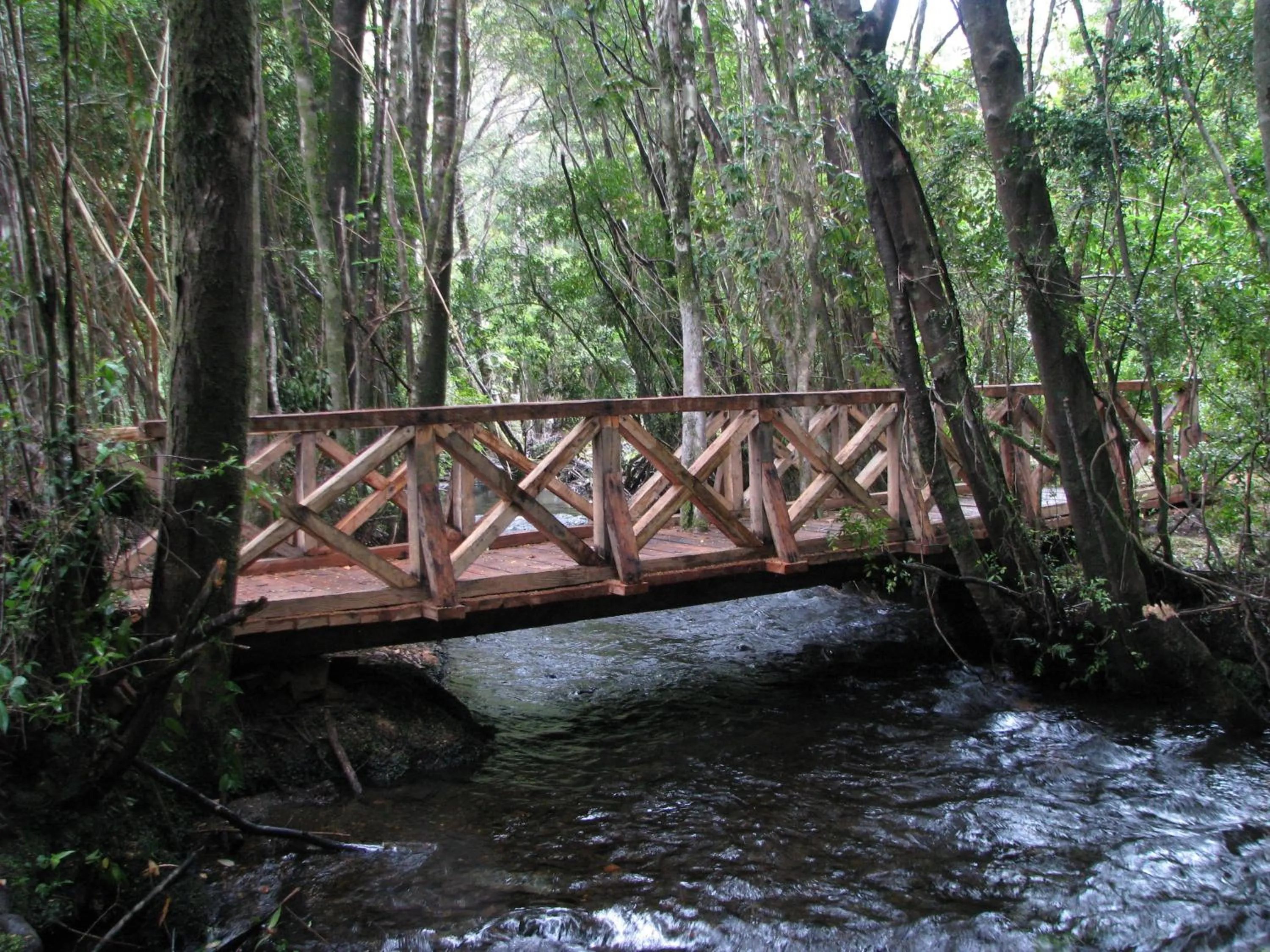 Other in Yelcho en la Patagonia