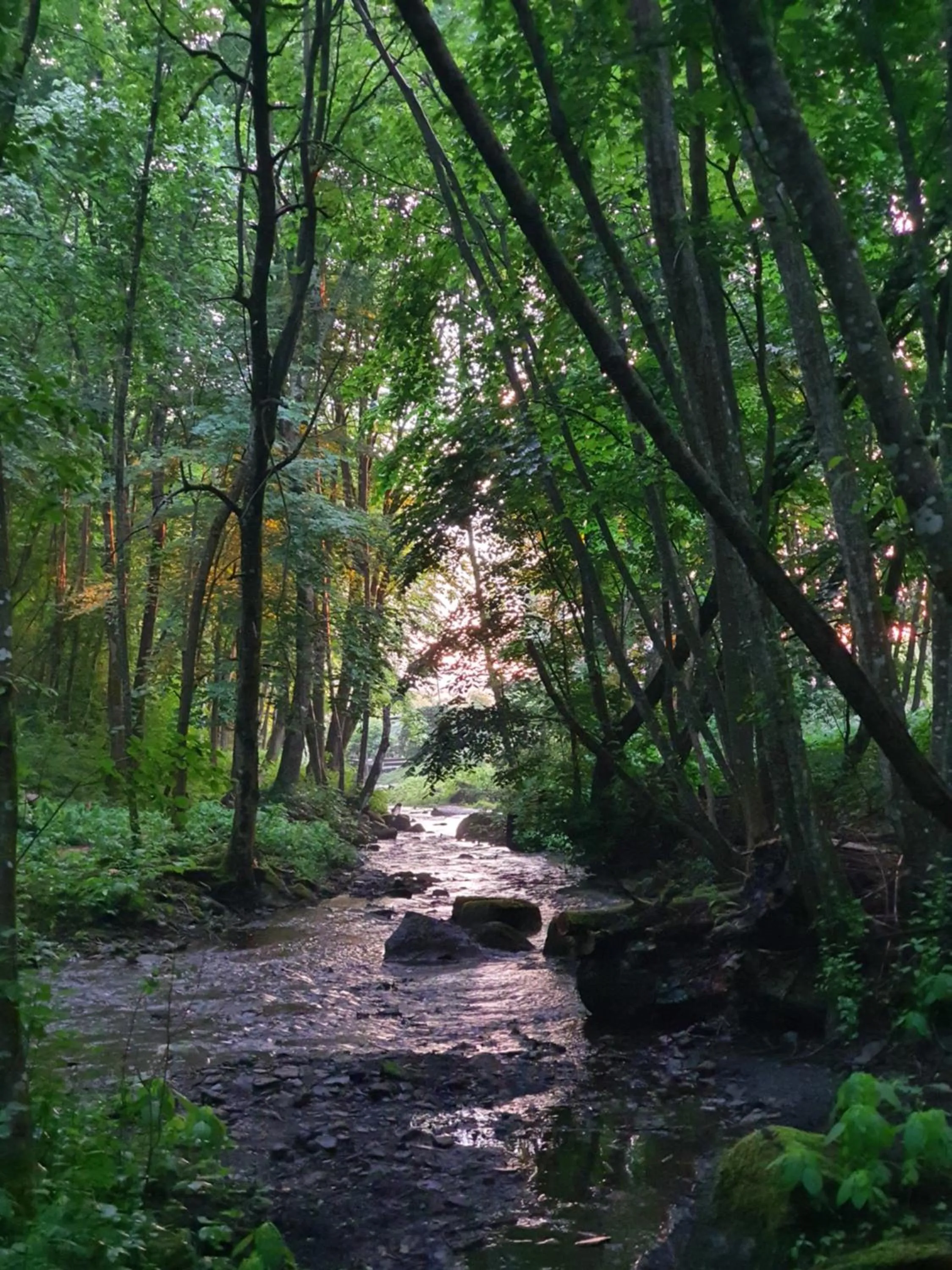 Natural landscape in Pilakvarn
