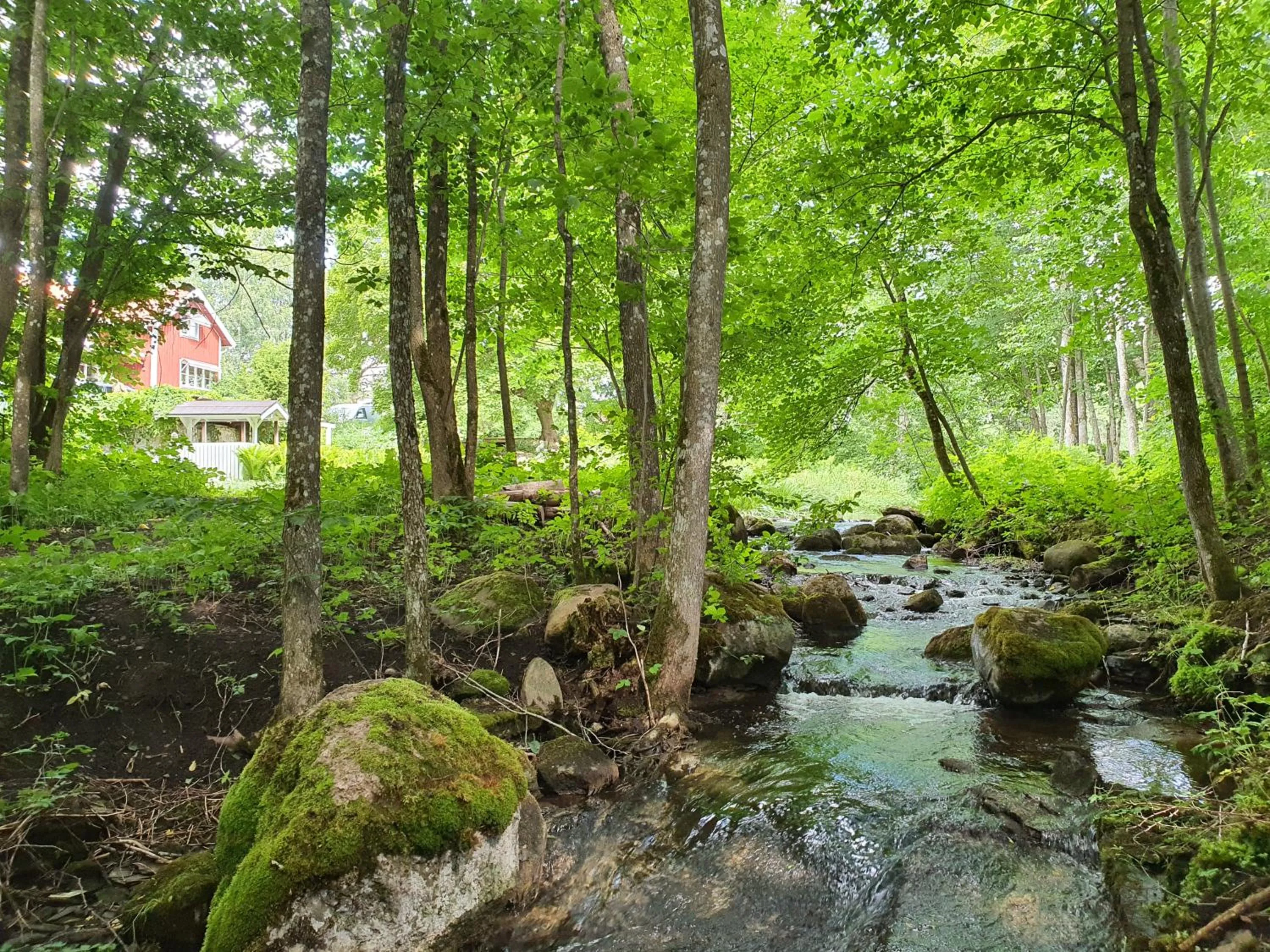 Natural landscape in Pilakvarn