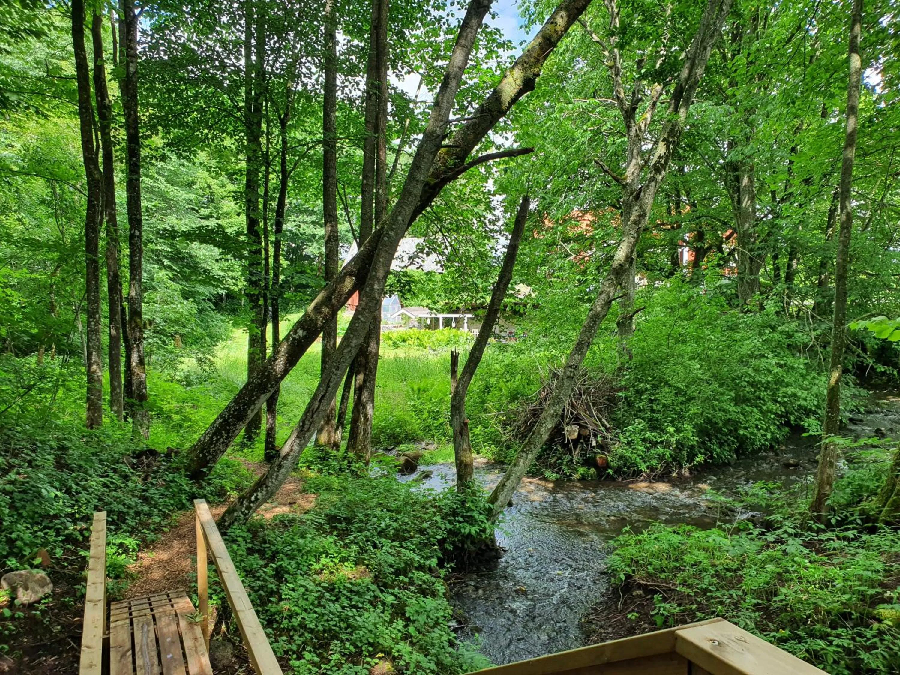 Natural landscape in Pilakvarn