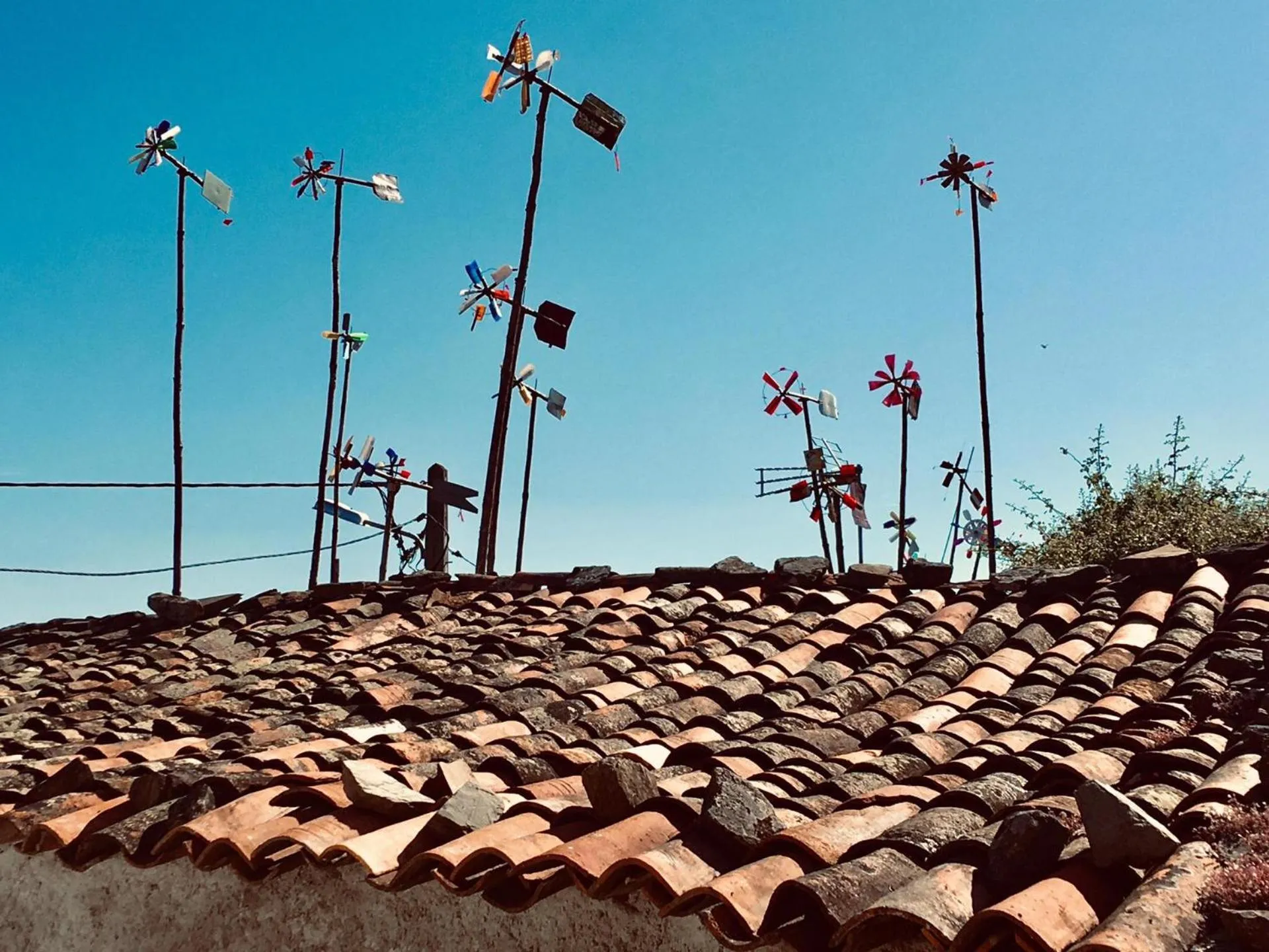 Staff in Quinta Quatro Ventos