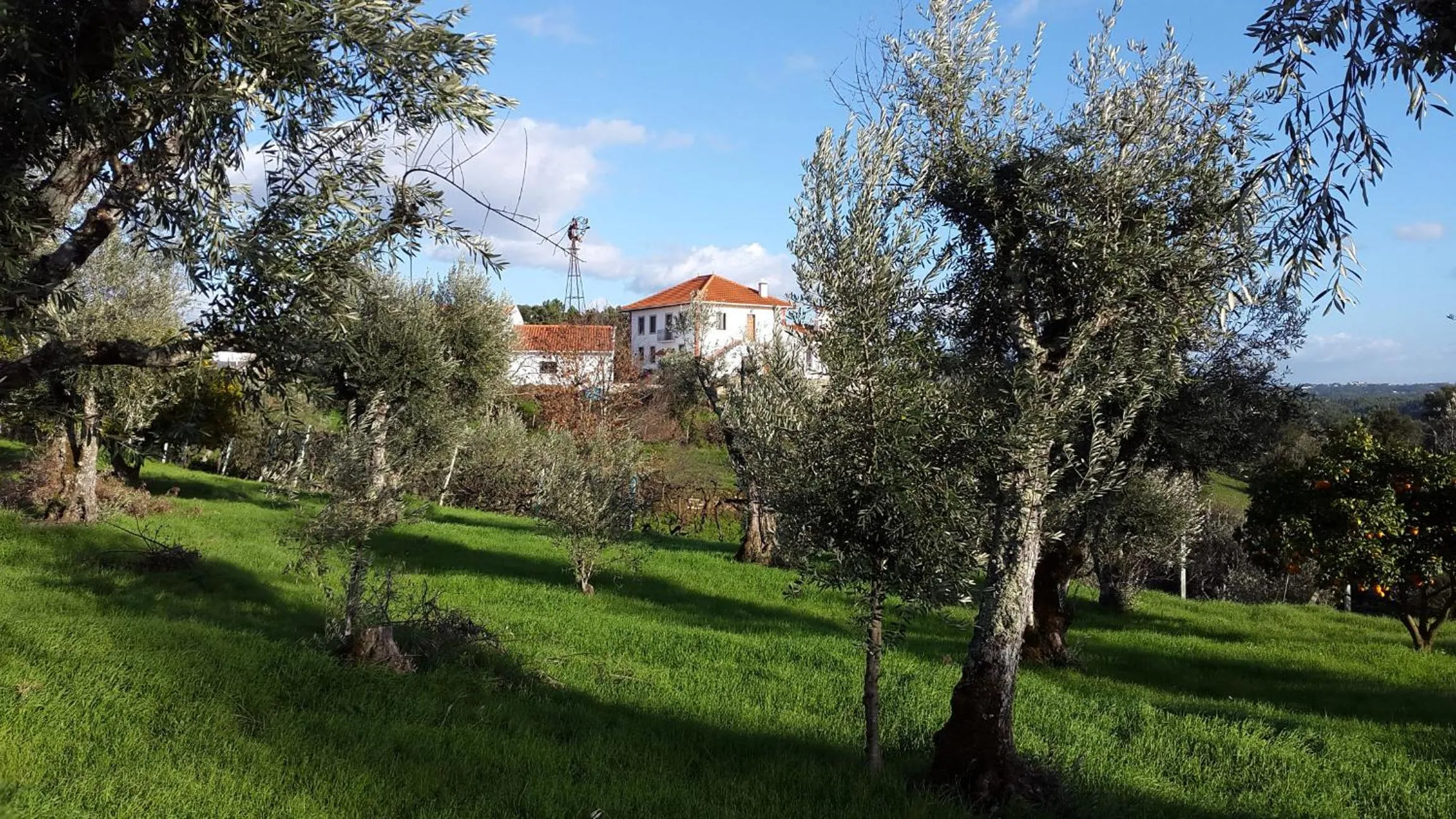 Property building in Quinta Quatro Ventos