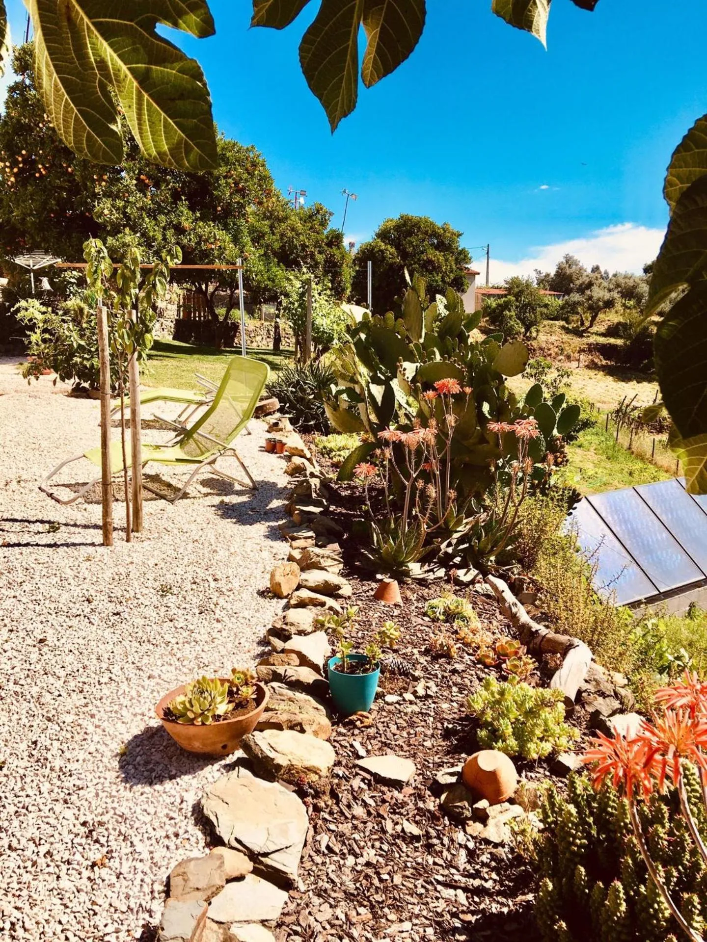 Garden view in Quinta Quatro Ventos