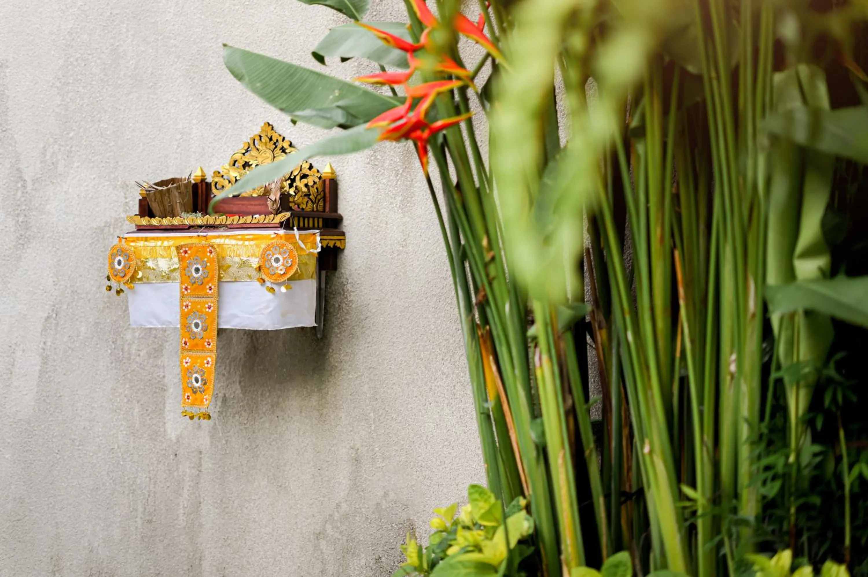 View (from property/room) in Villa Zanissa