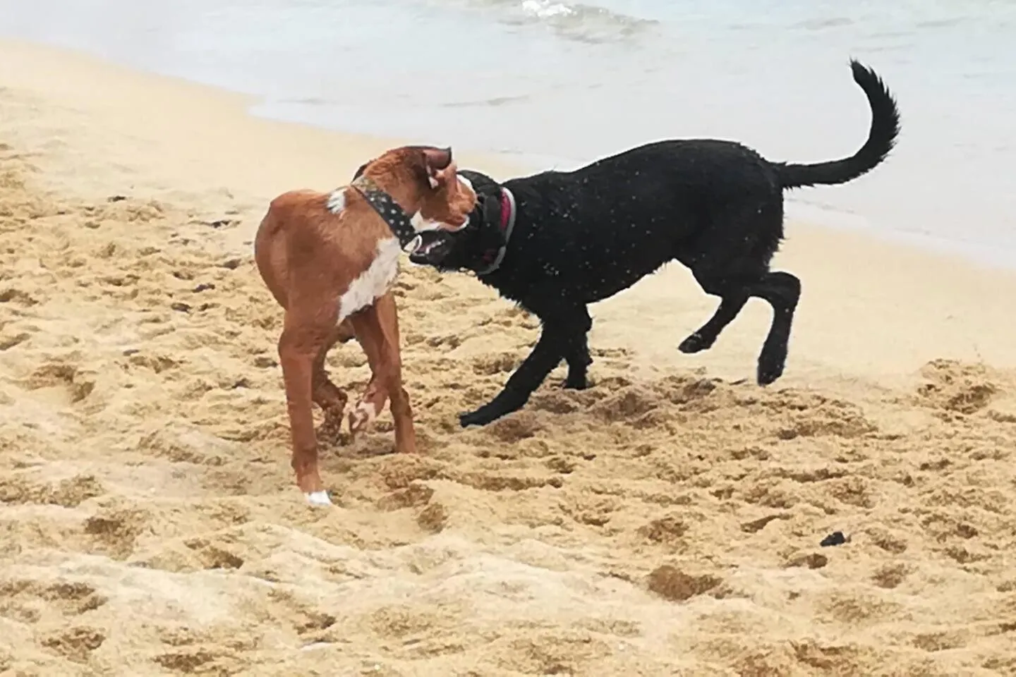 Beach in Terrassa de Mar Apartment