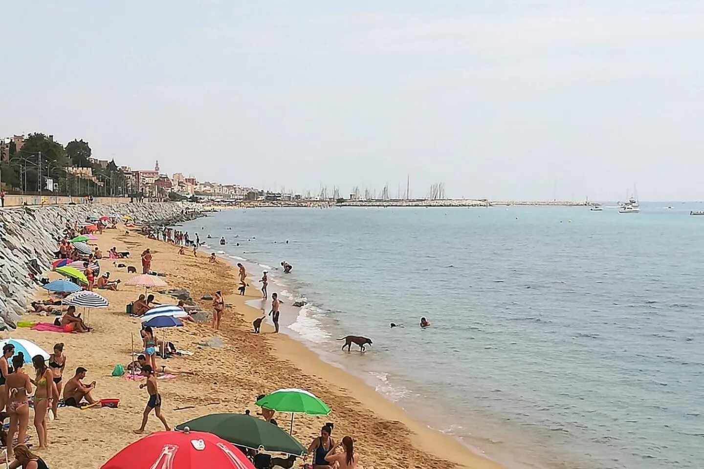 Beach in Terrassa de Mar Apartment