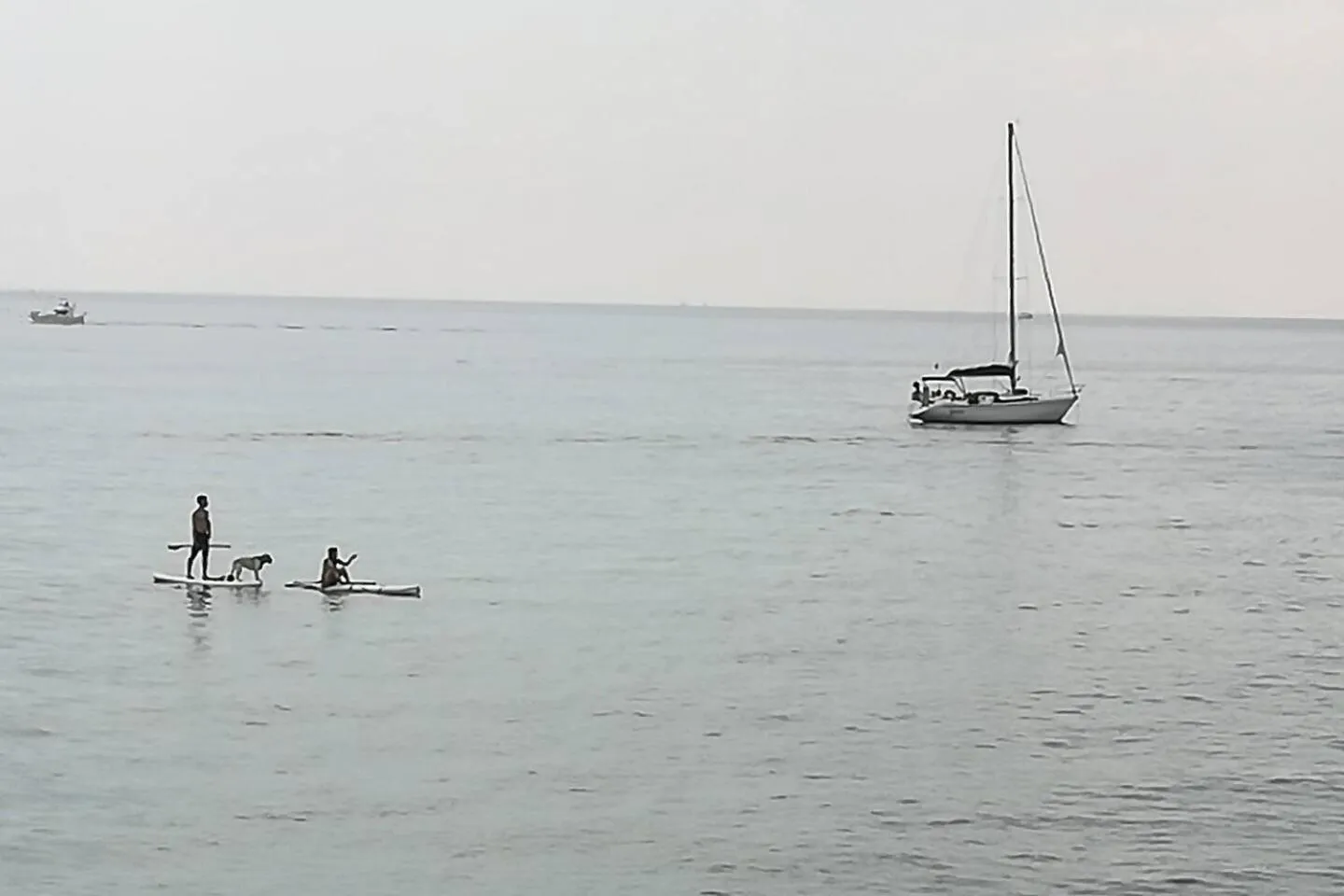 Canoeing in Terrassa de Mar Apartment