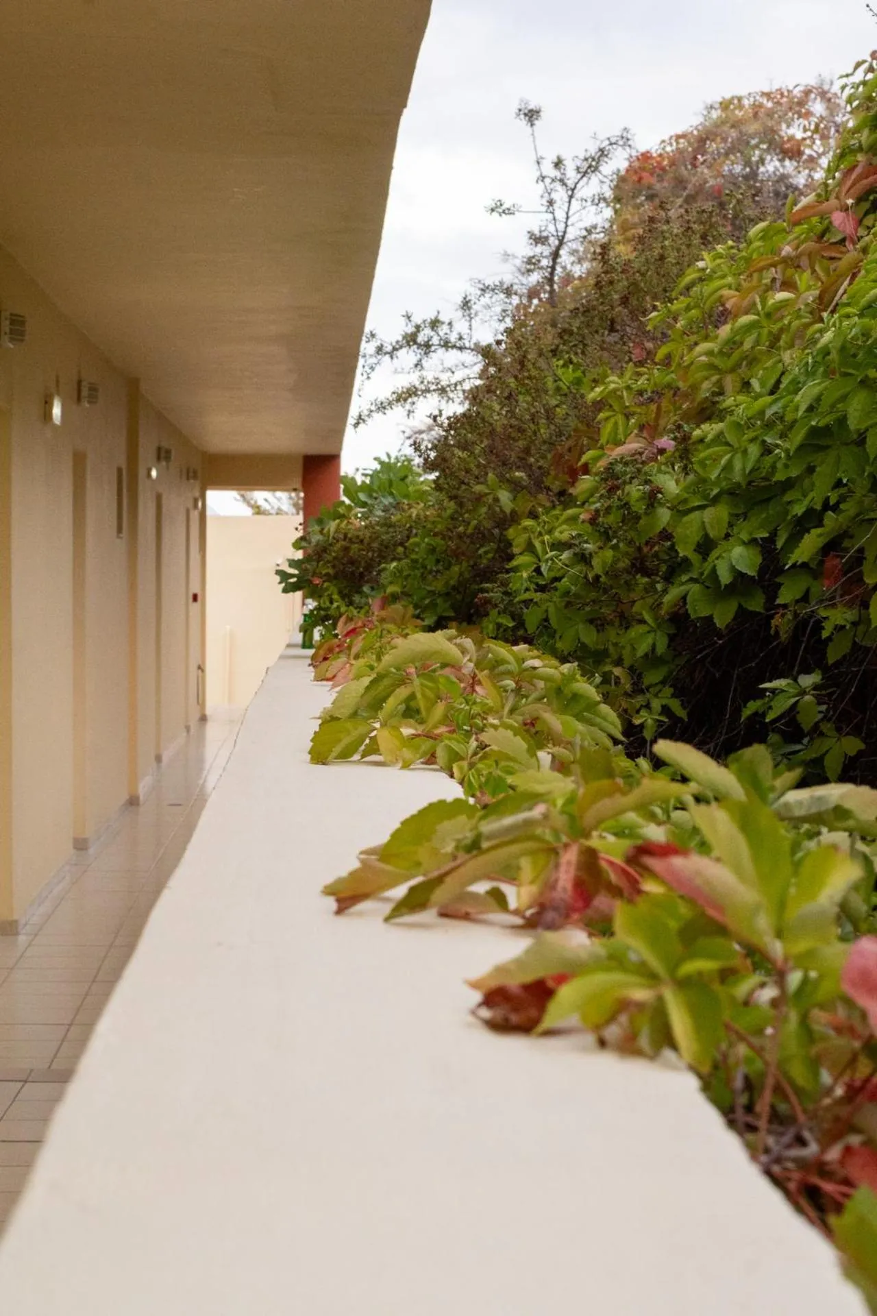 Property building in Elpis Studio Apartments