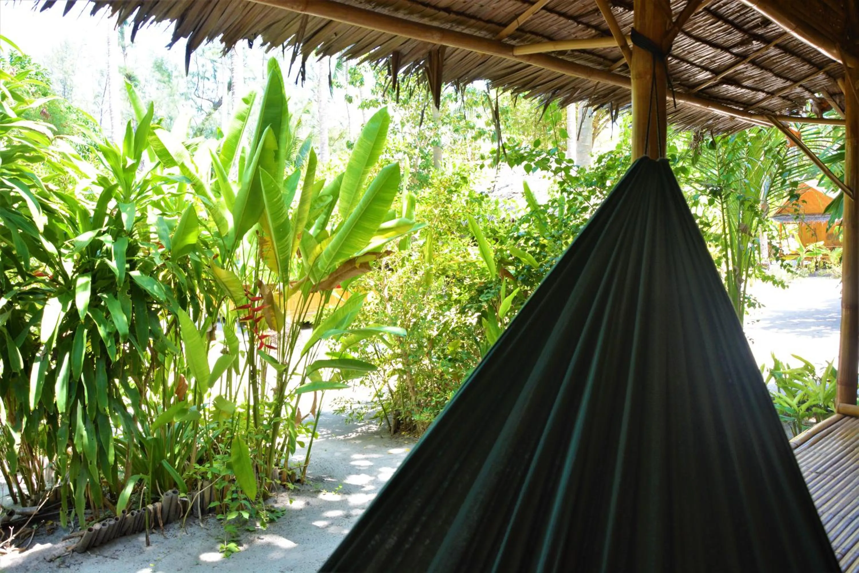Balcony/Terrace in Forra Dive Resort Sunrise