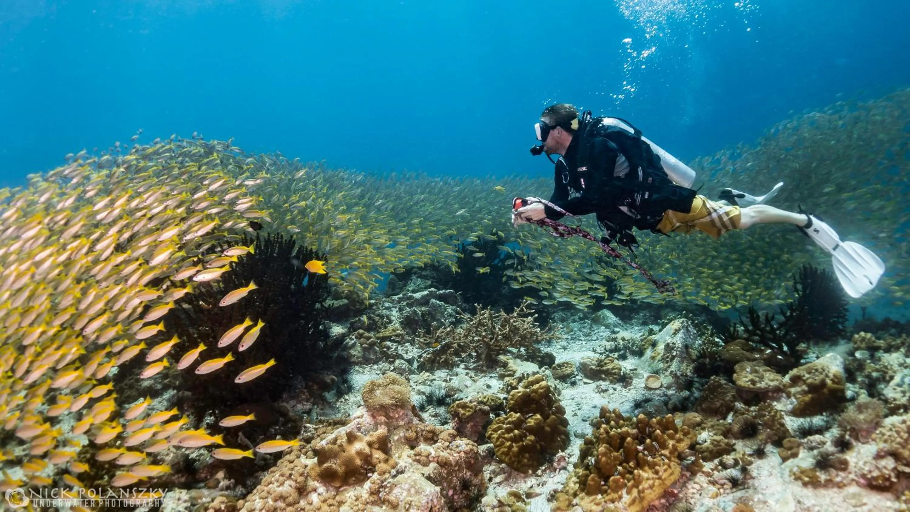 Diving in Forra Dive Resort Sunrise
