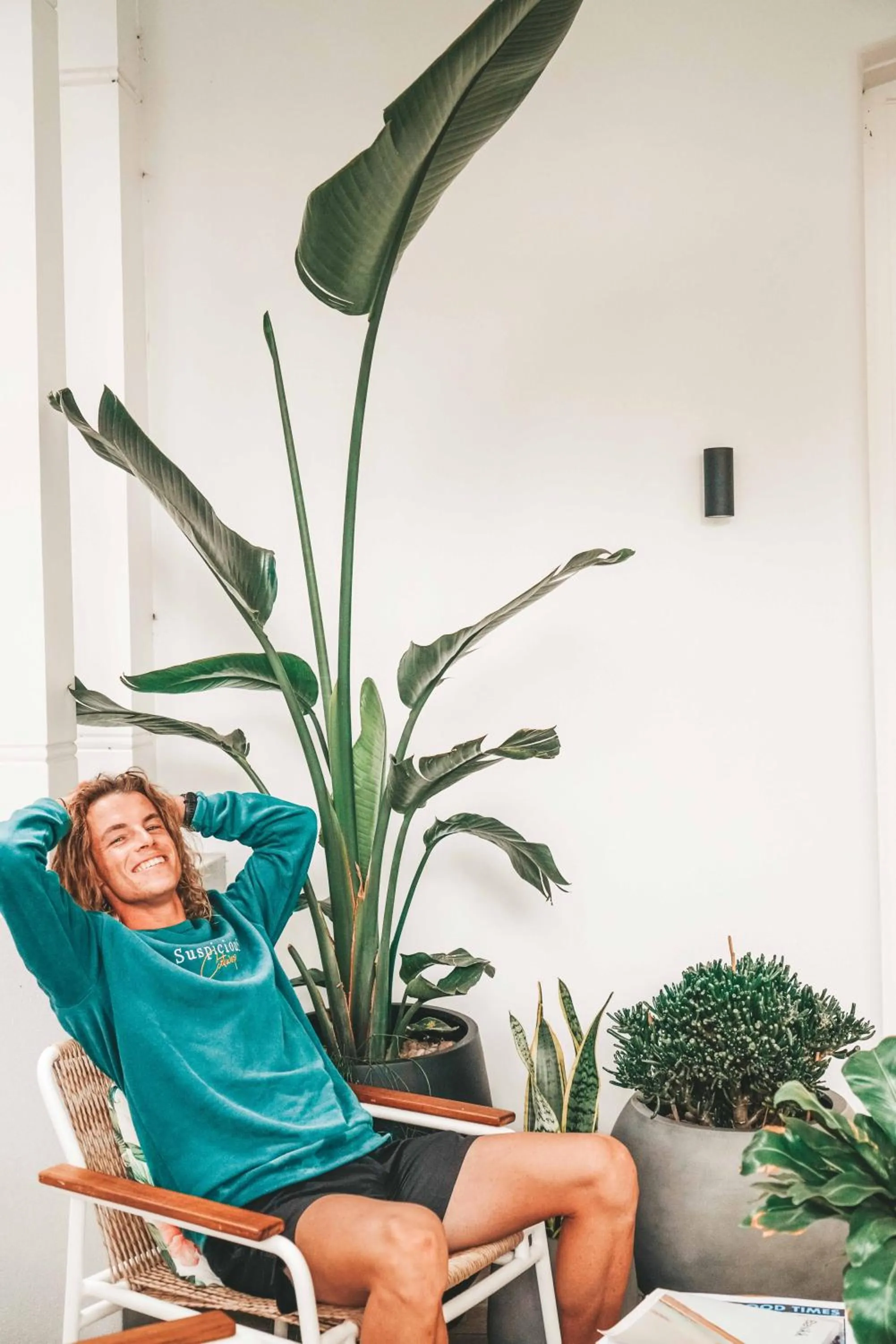 Patio in The Baxley Bondi