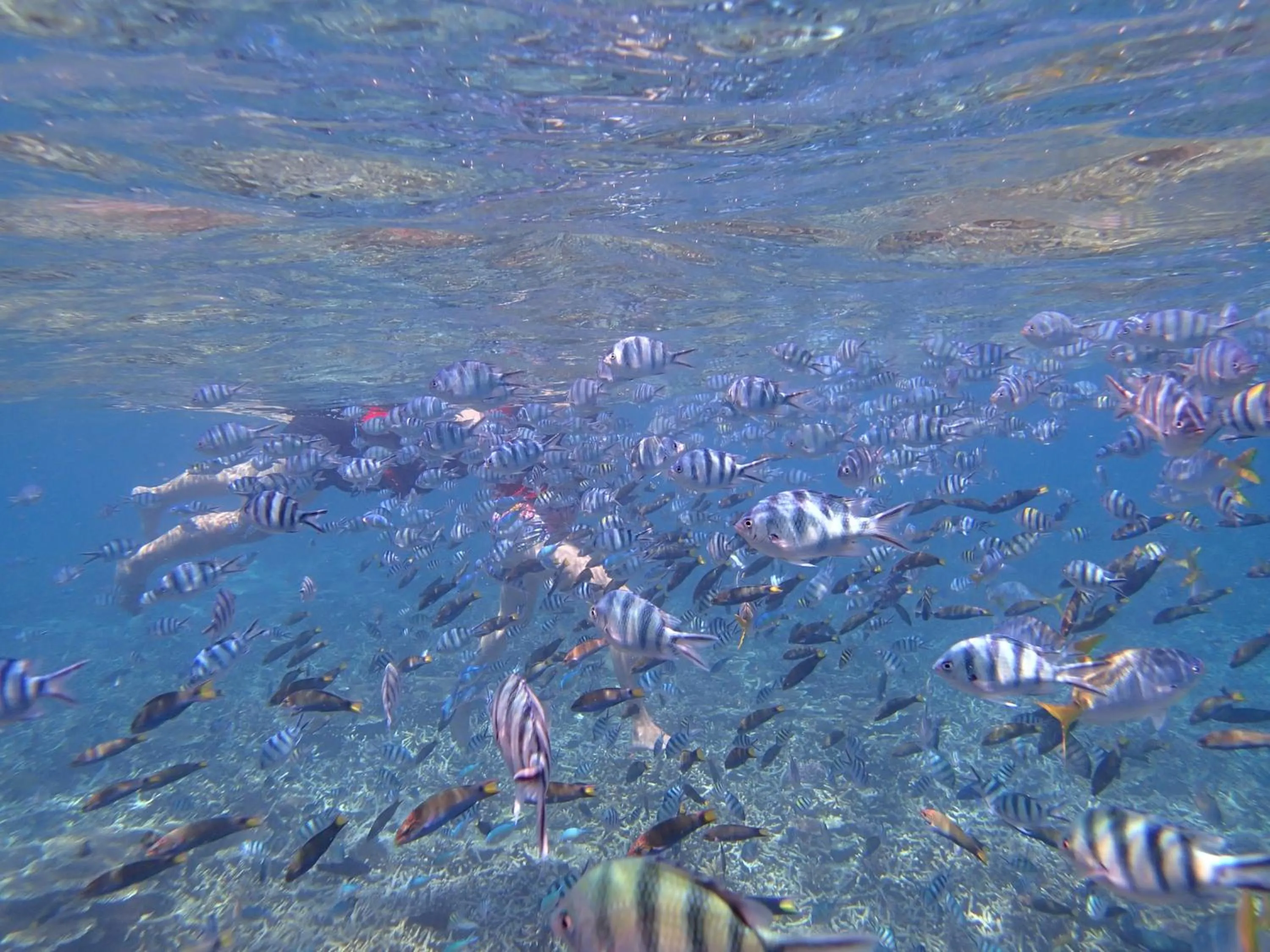 Aman Tioman Beach Resort