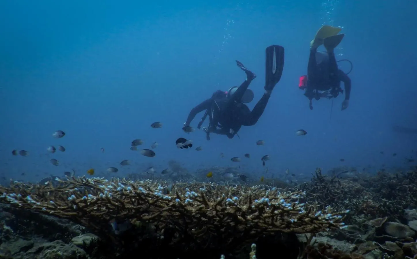 Aman Tioman Beach Resort
