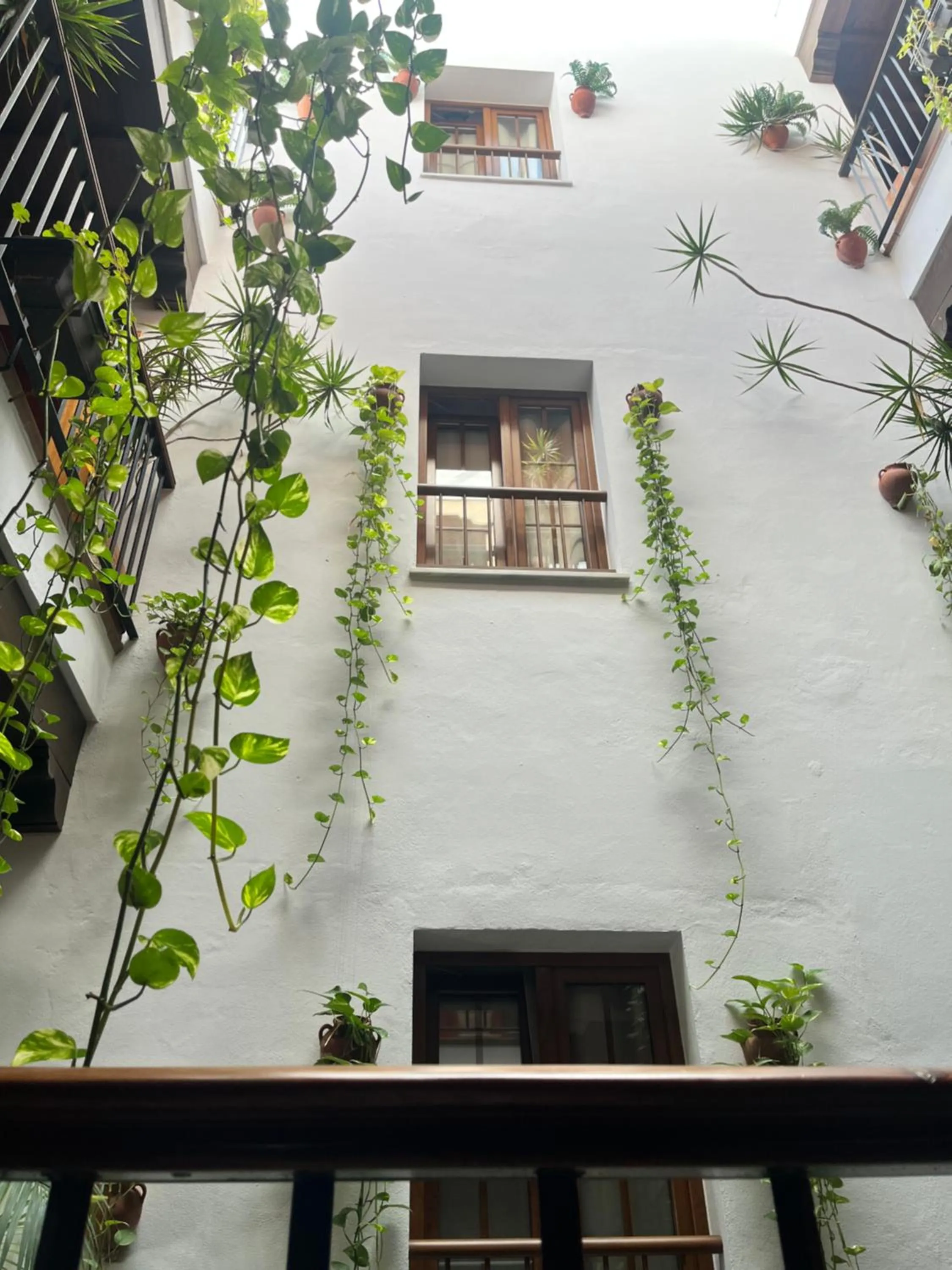 Property building in Hostal Al-Andalus