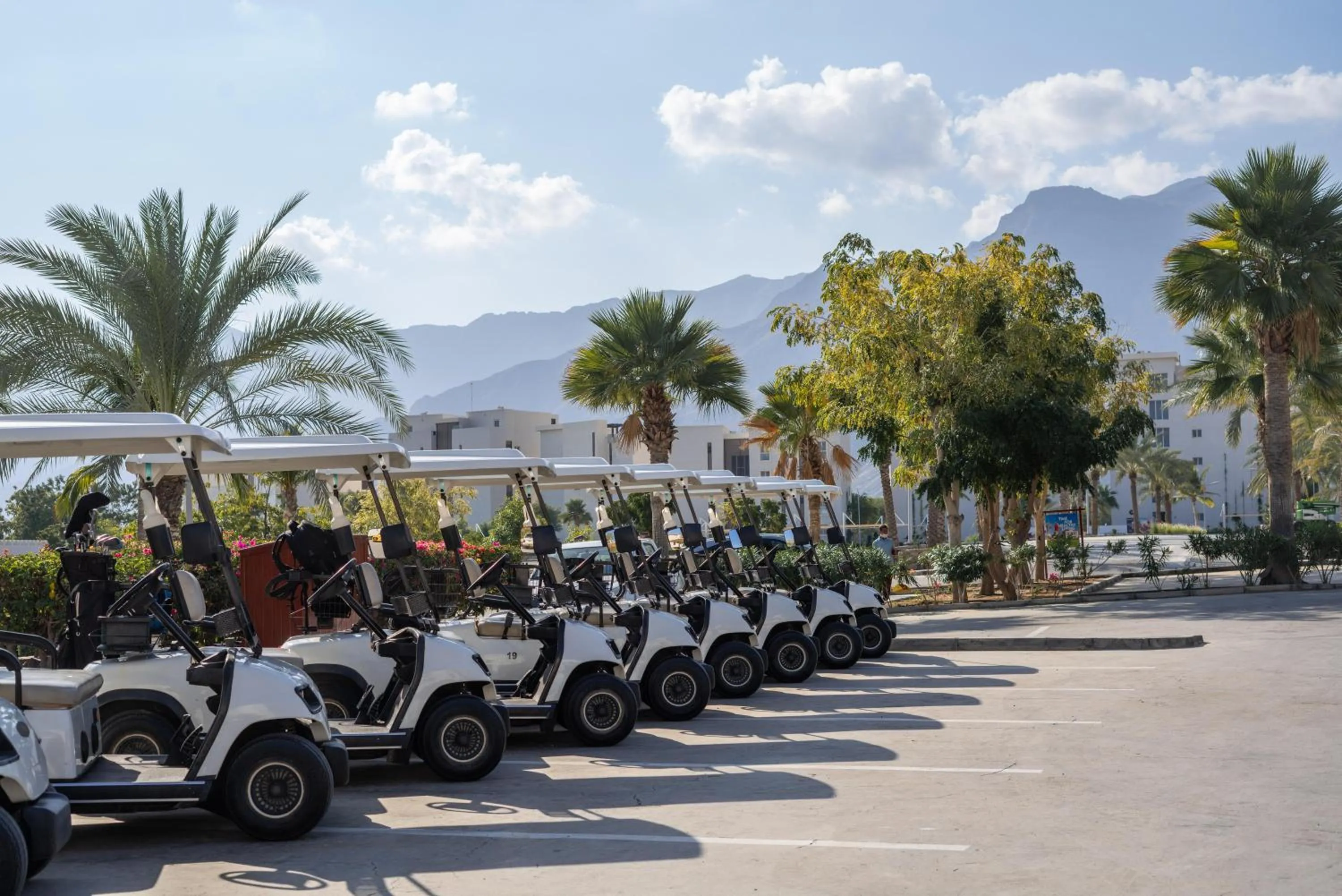 Activities in Sifawy Boutique Hotel