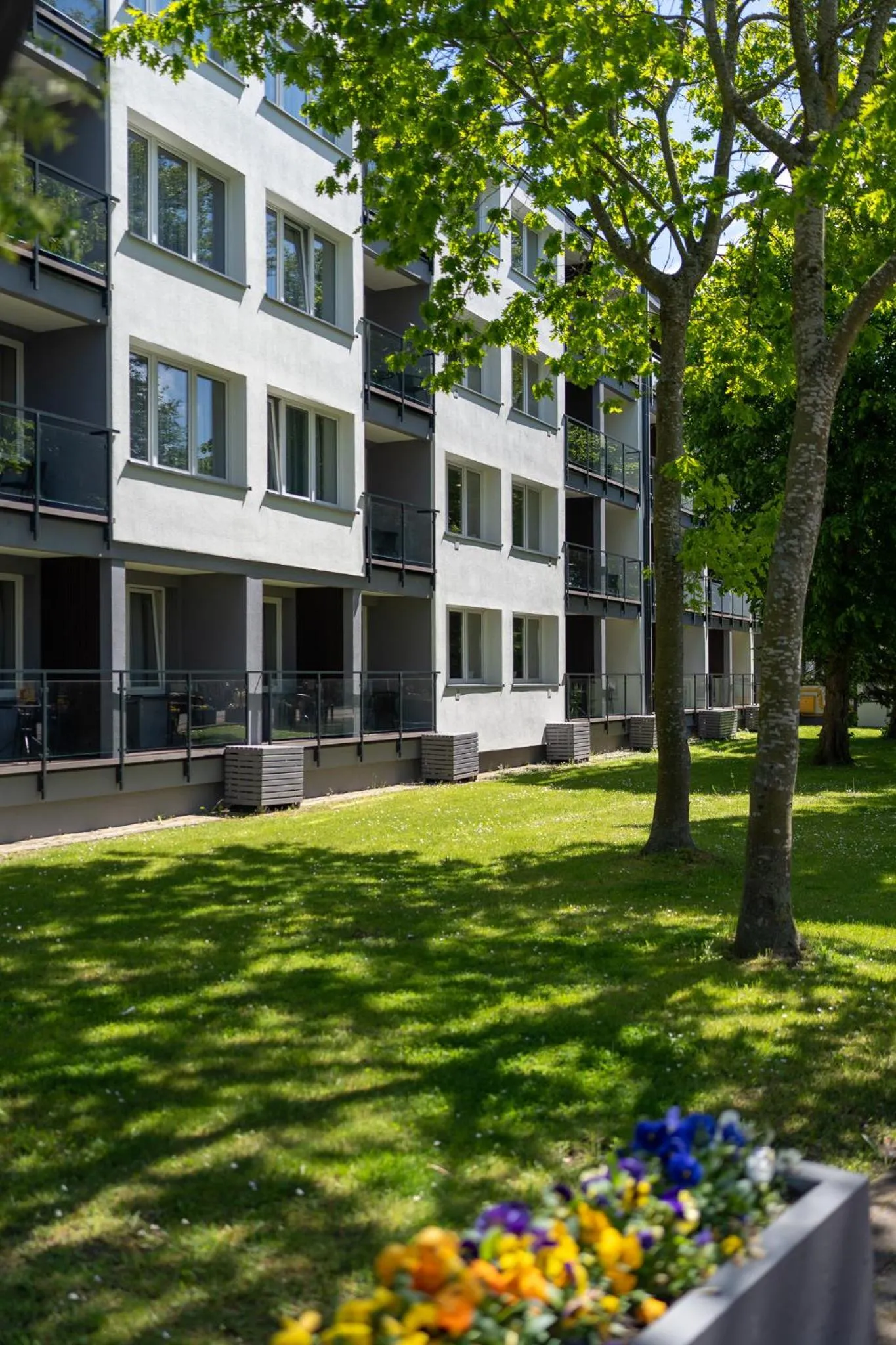 Property building in Albatros Medical SPA