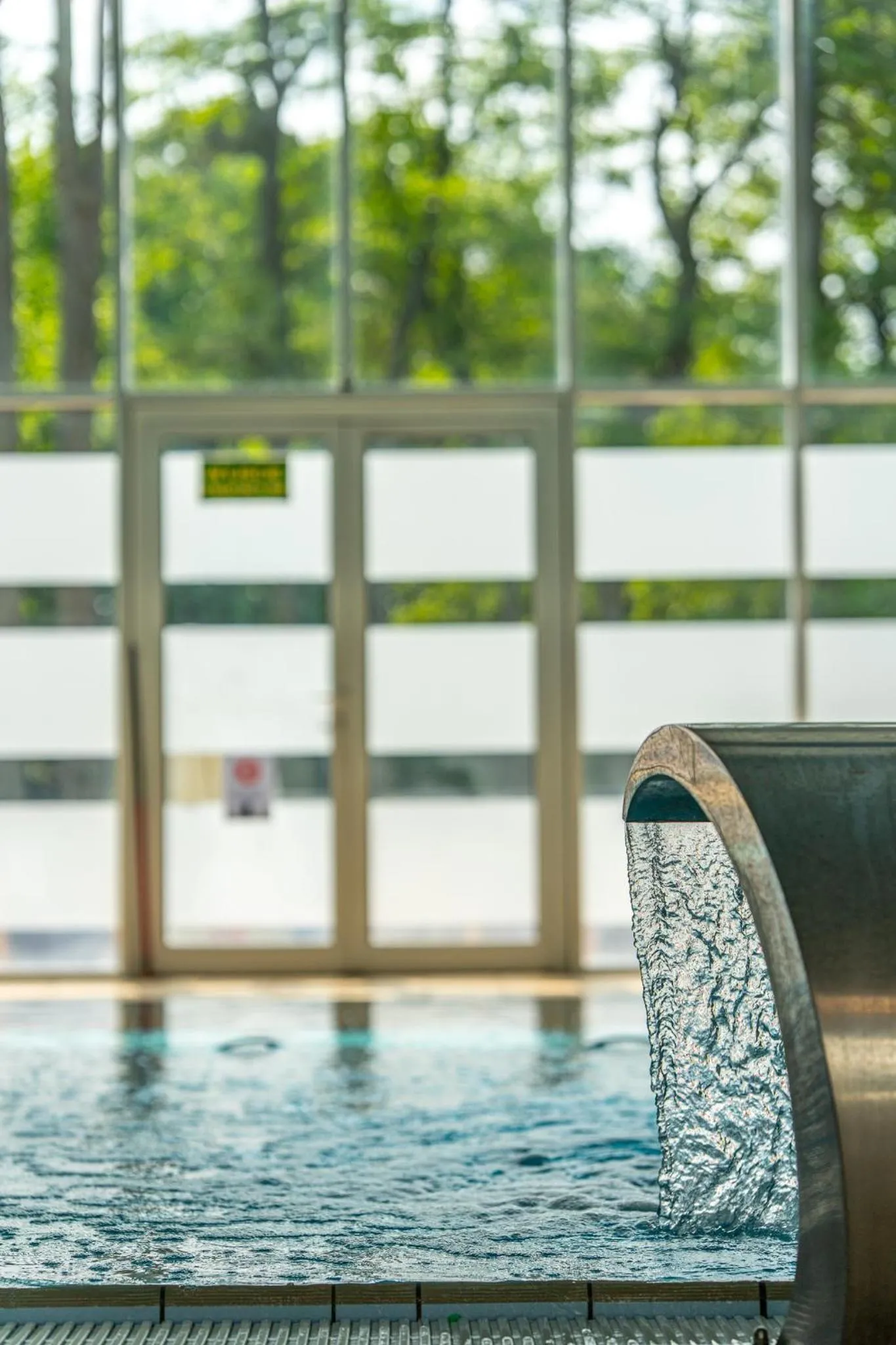 Swimming pool in Albatros Medical SPA
