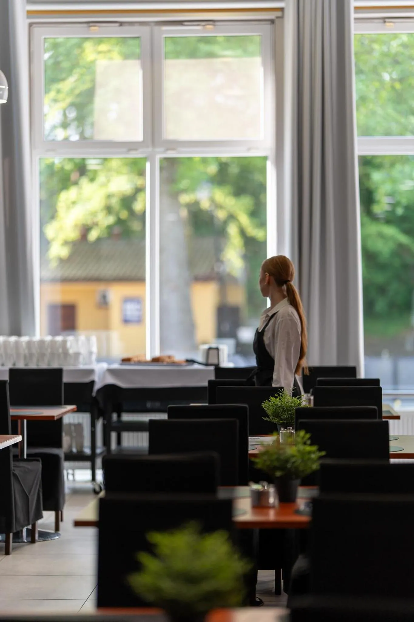 Restaurant/places to eat in Albatros Medical SPA