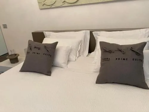 Terra Prime Suite