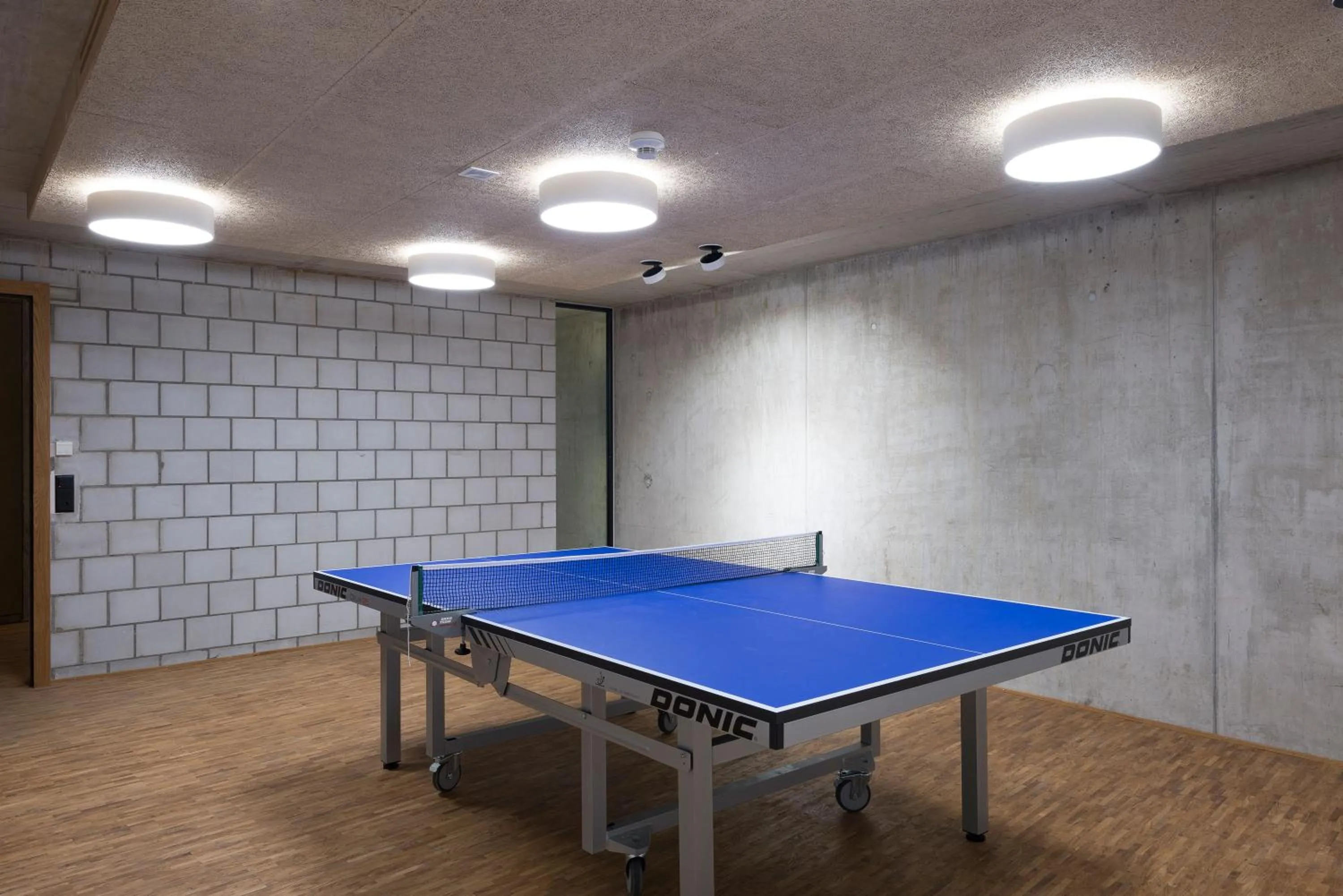 Entertainment in Saanen Gstaad Youth Hostel