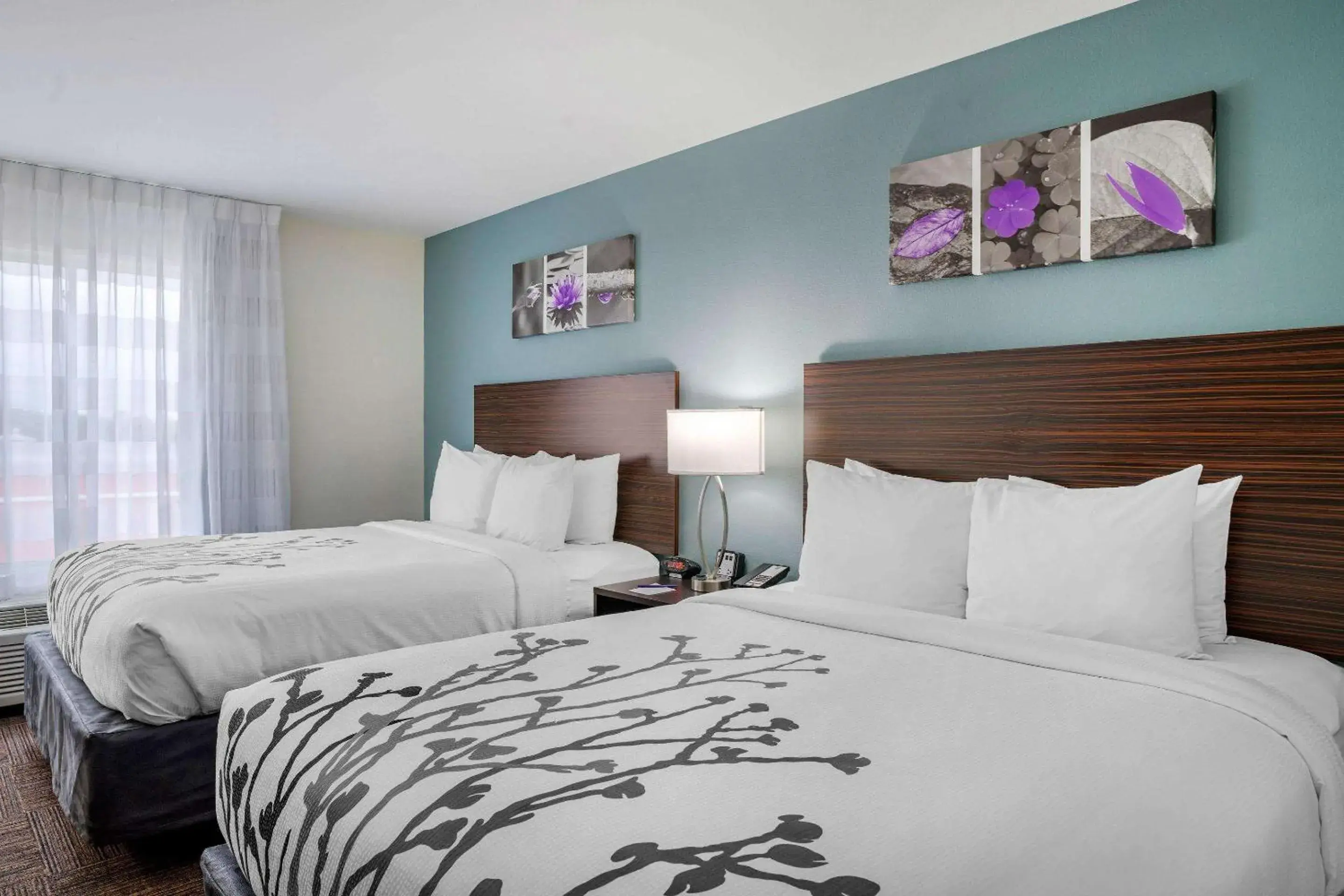 Queen Room with Two Queen Beds - Non-Smoking in Sleep Inn & Suites near Westchase Queen Room with Two Queen Beds - Non-Smoking in Sleep Inn & Suites near Westchase