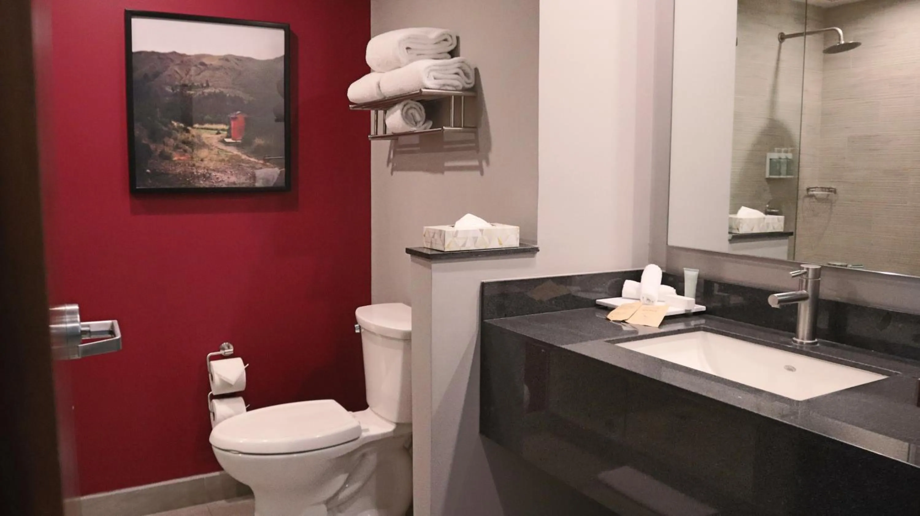 Bathroom in Fairfield Inn & Suites by Marriott Aguascalientes