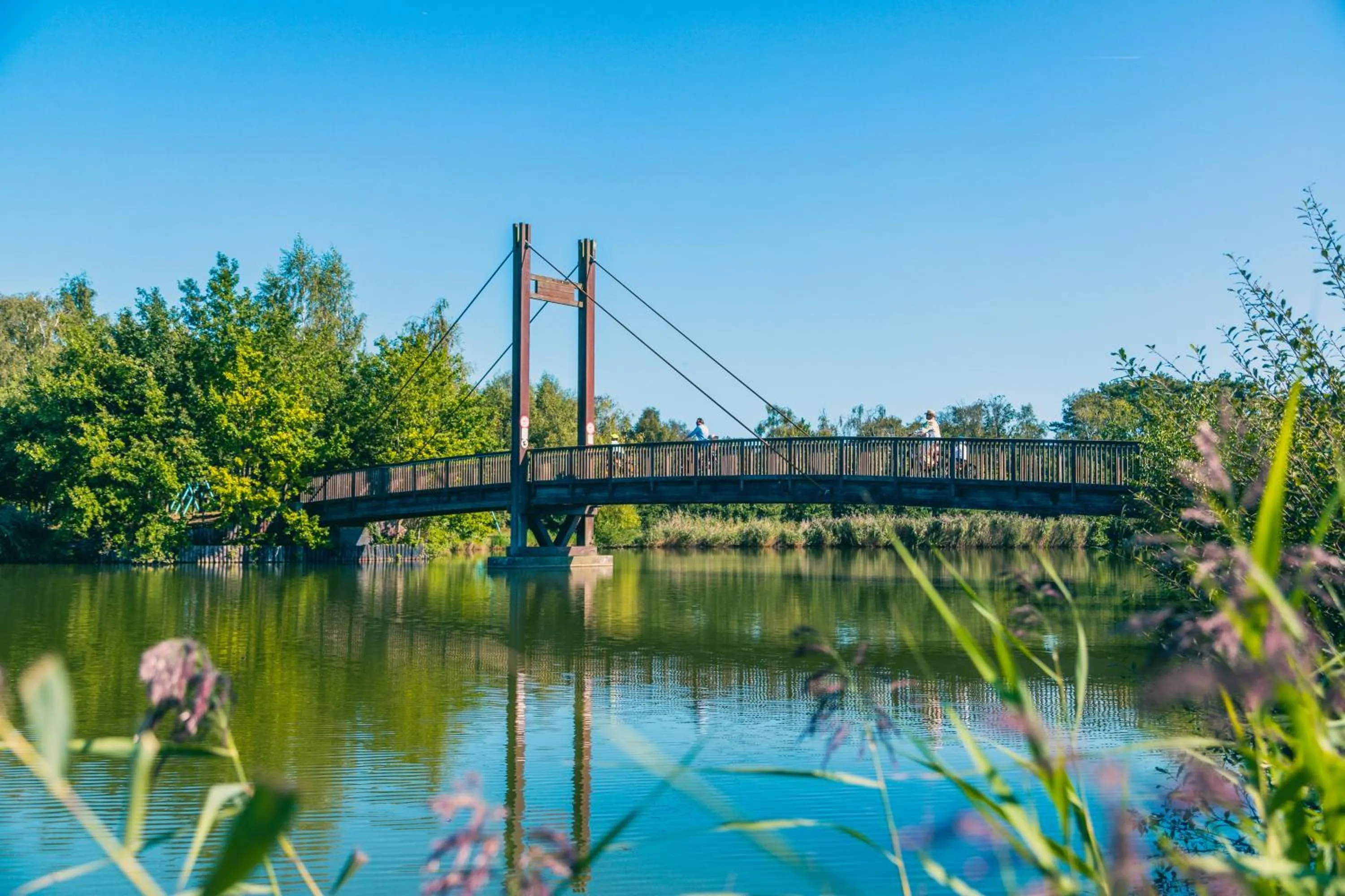 Nearby landmark in EuroParcs Zilverstrand