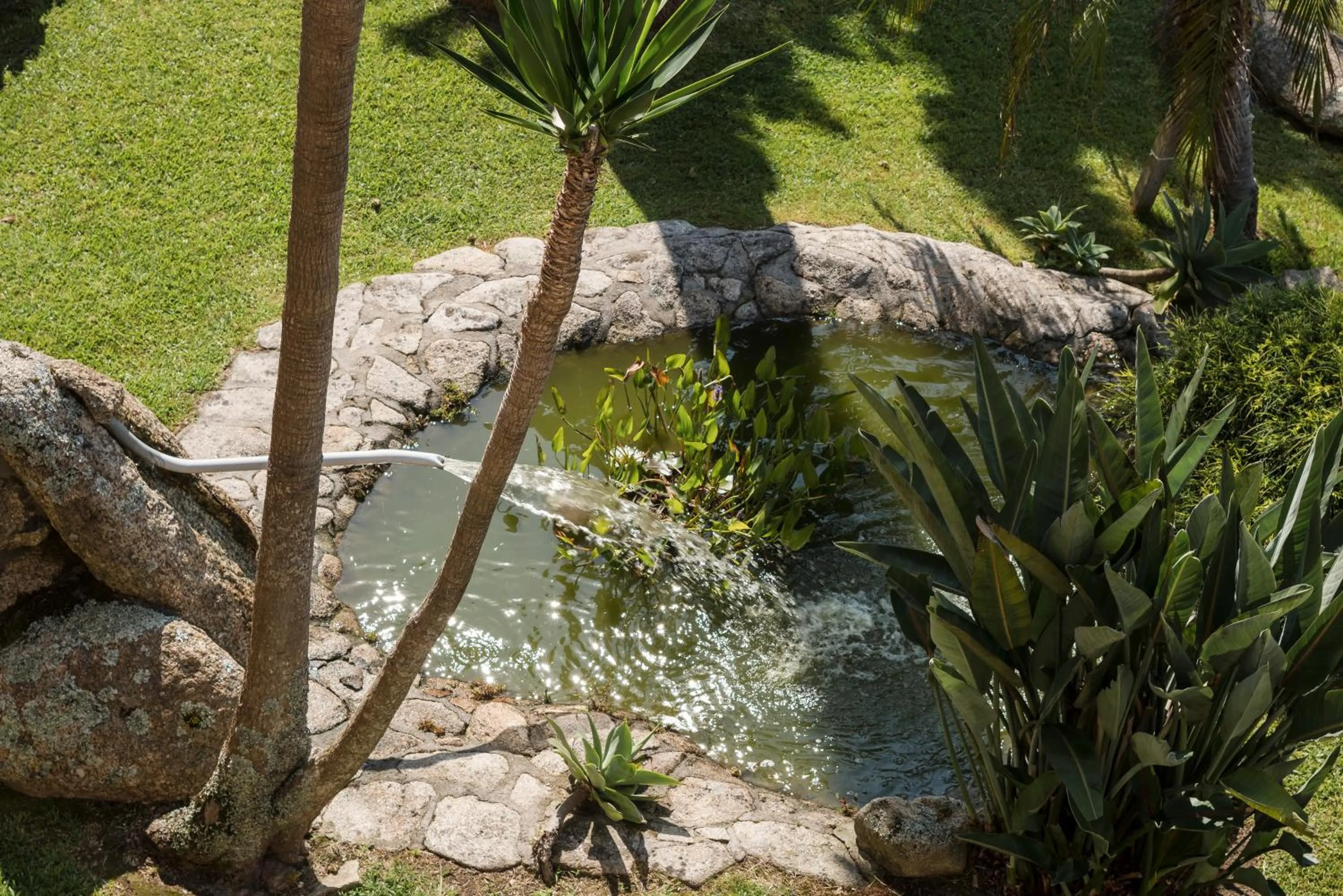 Garden in Apartamentos Atlántico Resort