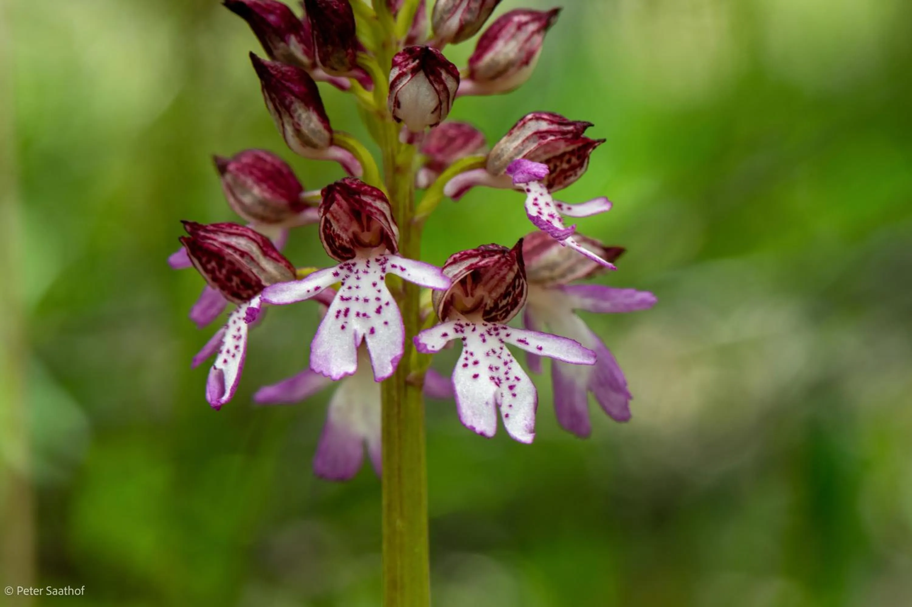 Nearby landmark in Le Sareymond