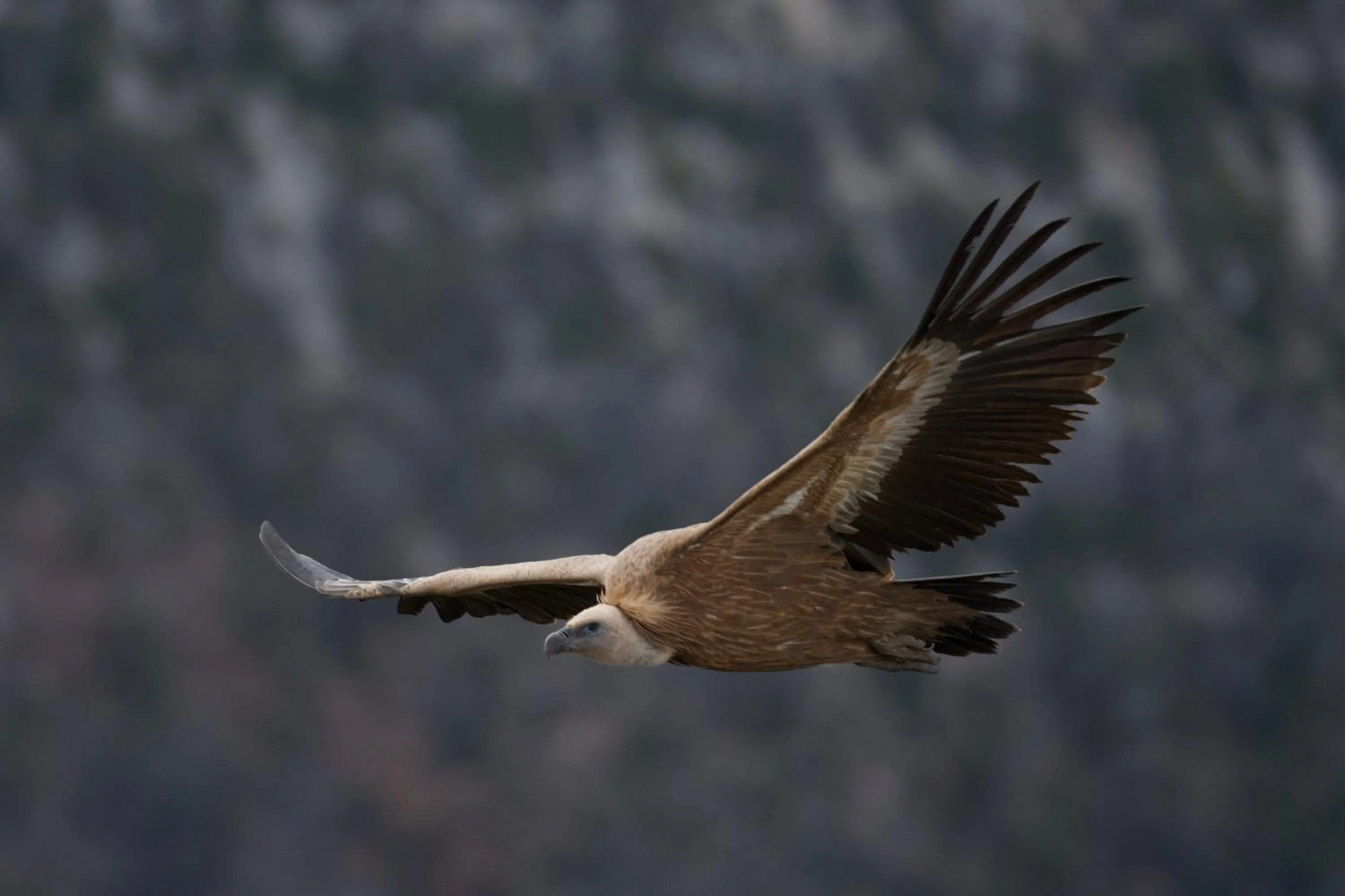 Hiking in Le Sareymond