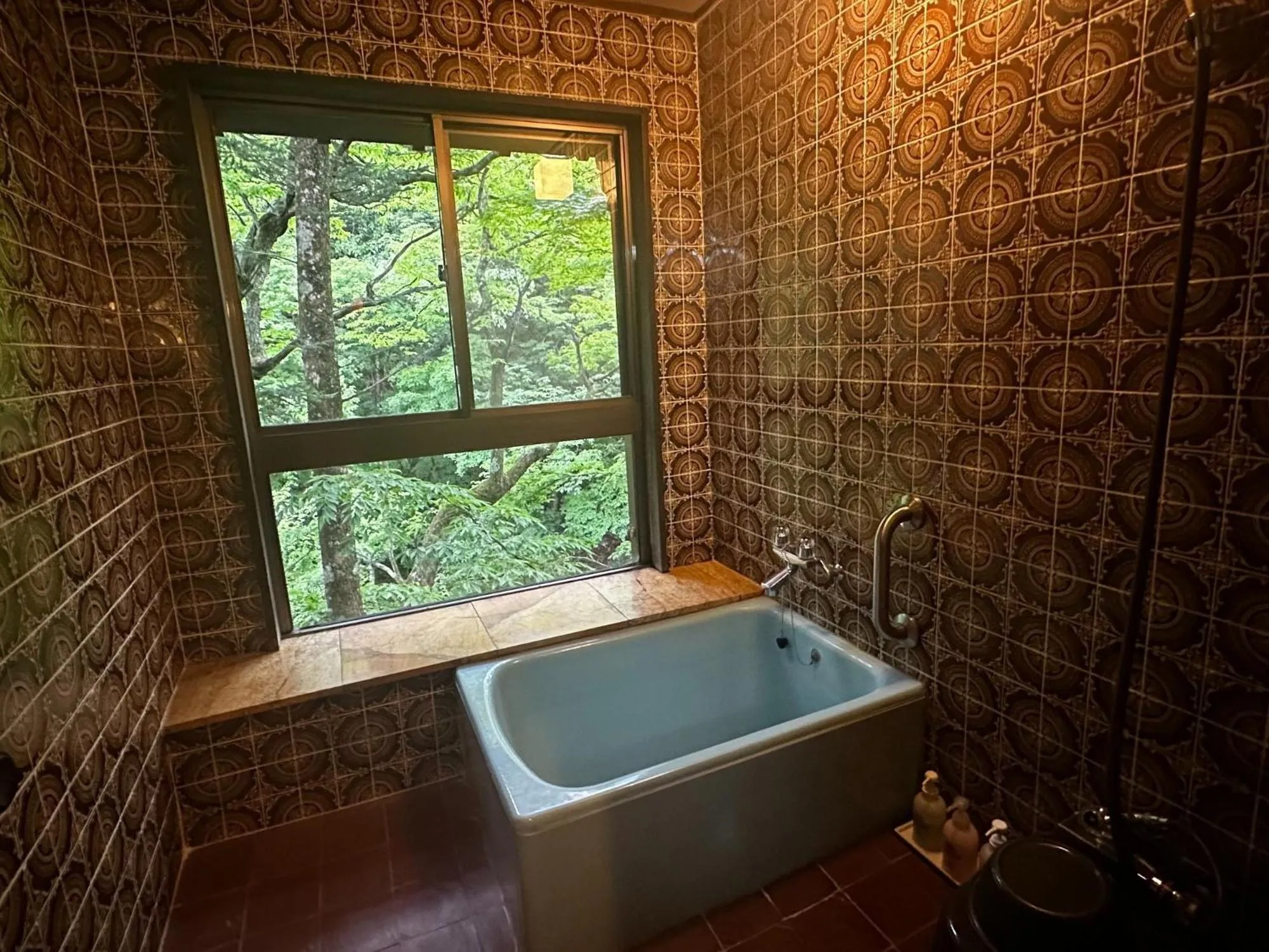 View (from property/room) in Hana to Hana