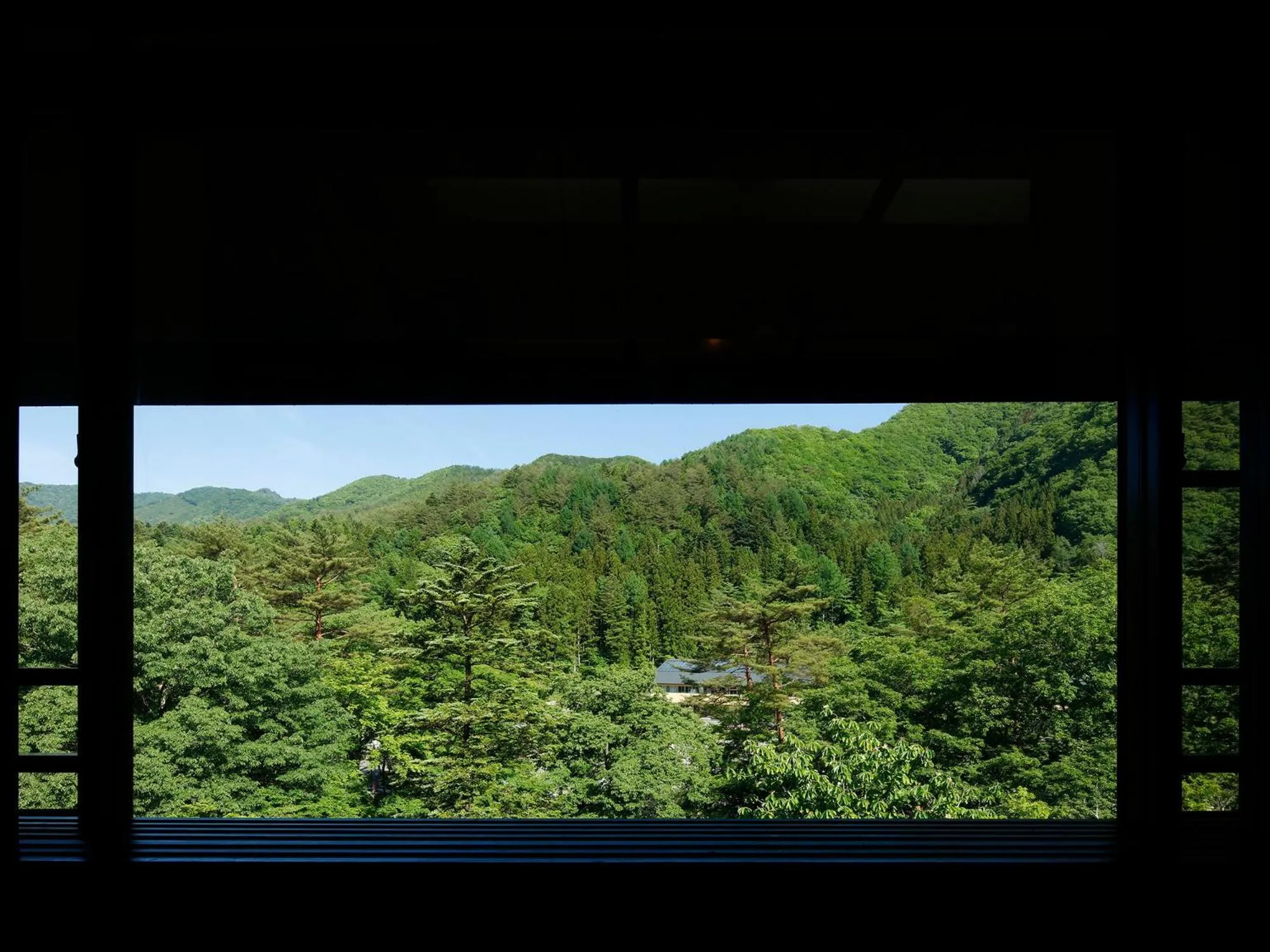 View (from property/room) in Hana to Hana